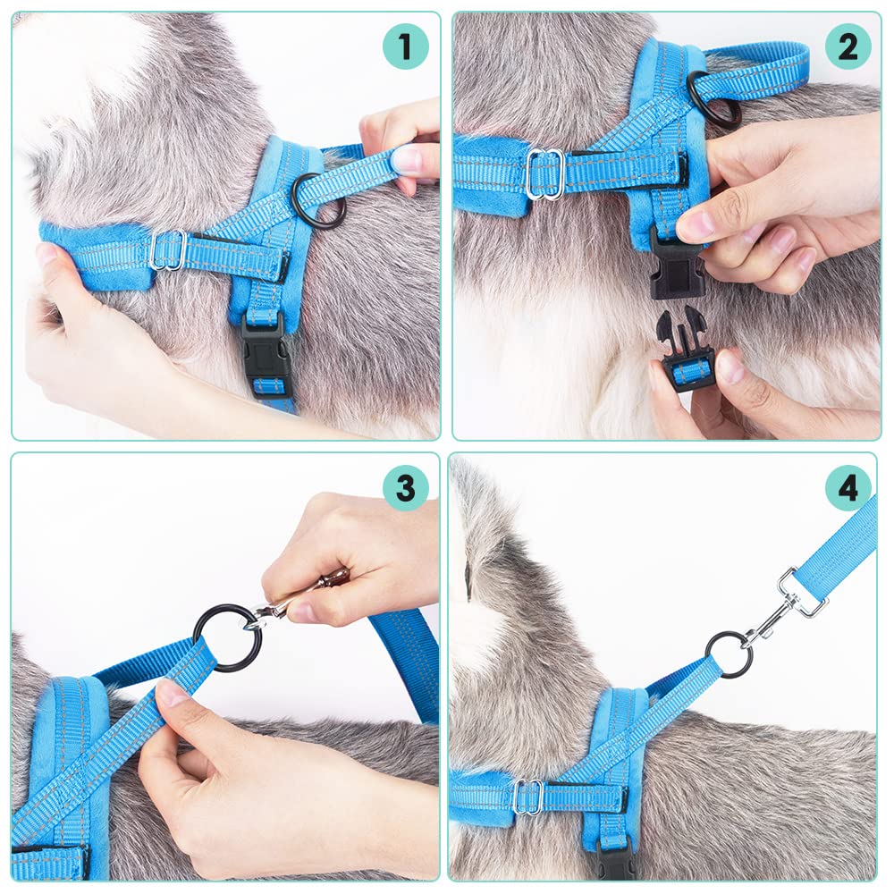 Lukovee Walking Dog Harness And Leash, Heavy Duty Adjustable Puppy Harness Soft Padded Reflective Vest Harness Anti-Twist 4Ft Lead Quick Fit Lightweight For Small Dog Cat (Light Blue, X-Small)