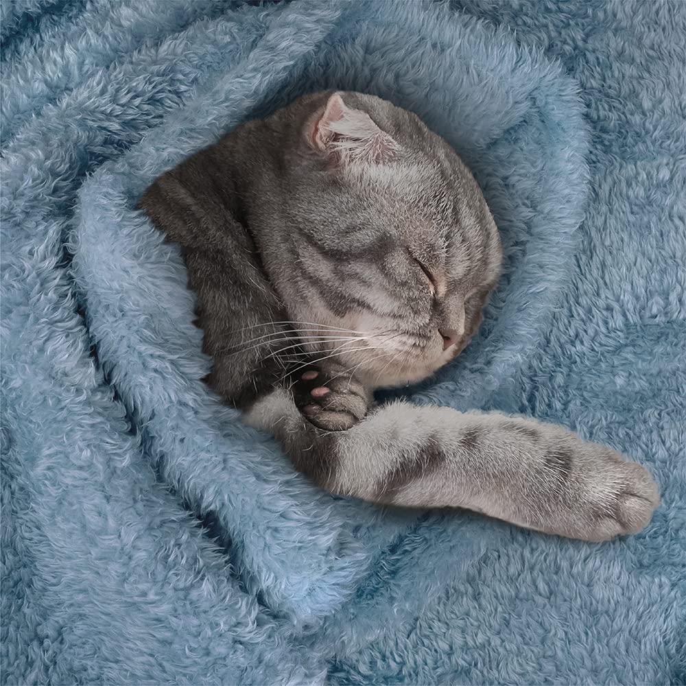 Petami Fluffy Dog Blanket For Small Medium Large Dogs, Sherpa Soft Warm Pet Fleece Throw For Indoor Cats, Fuzzy Plush Shaggy Blanket Furniture Protector Sofa Couch Bed, Blue 60X80