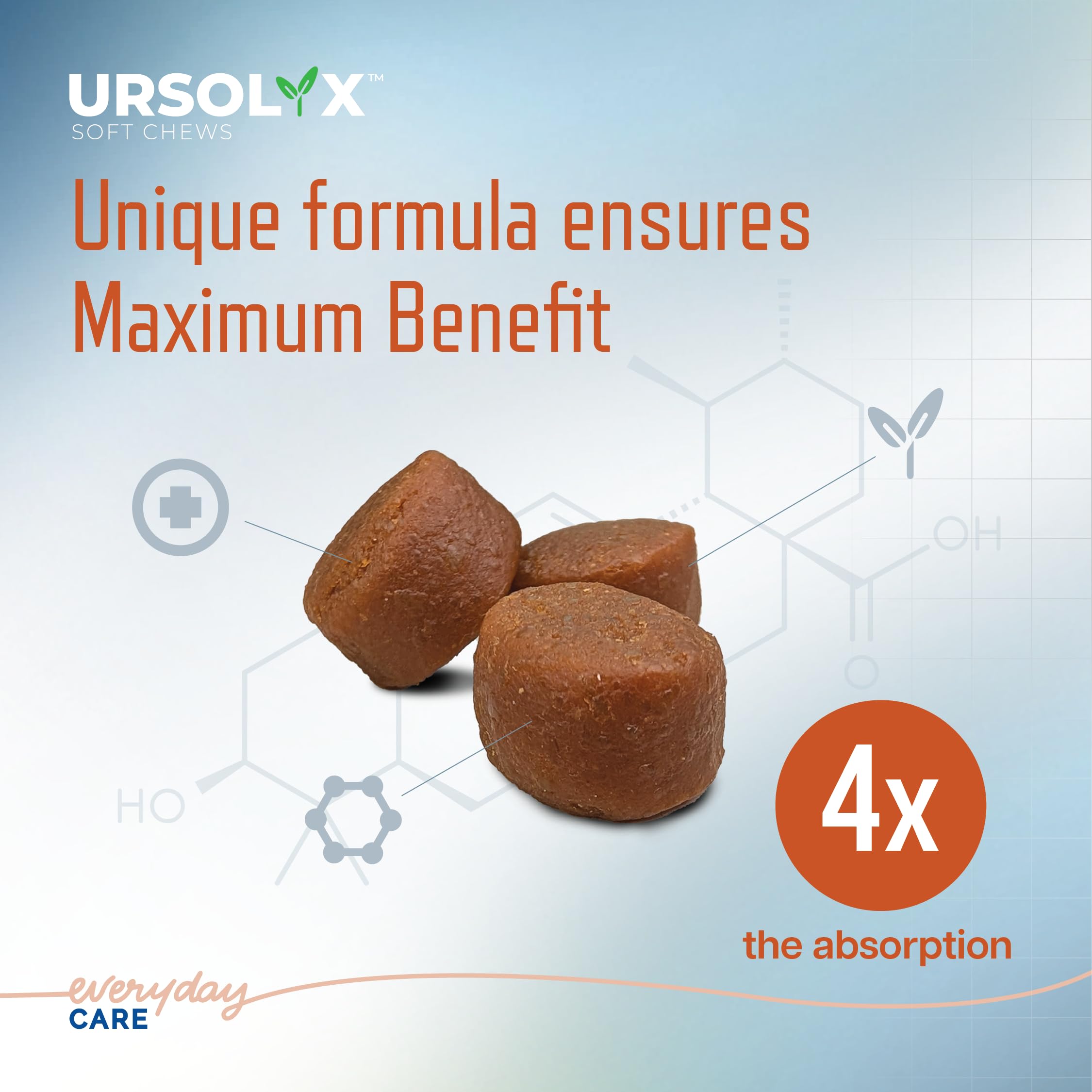 Virbac URSOLYX Soft Chews for Dogs | Muscle Health Support for Senior, Active or Recovering Dogs, Small | 60 Count 2- Month Supp