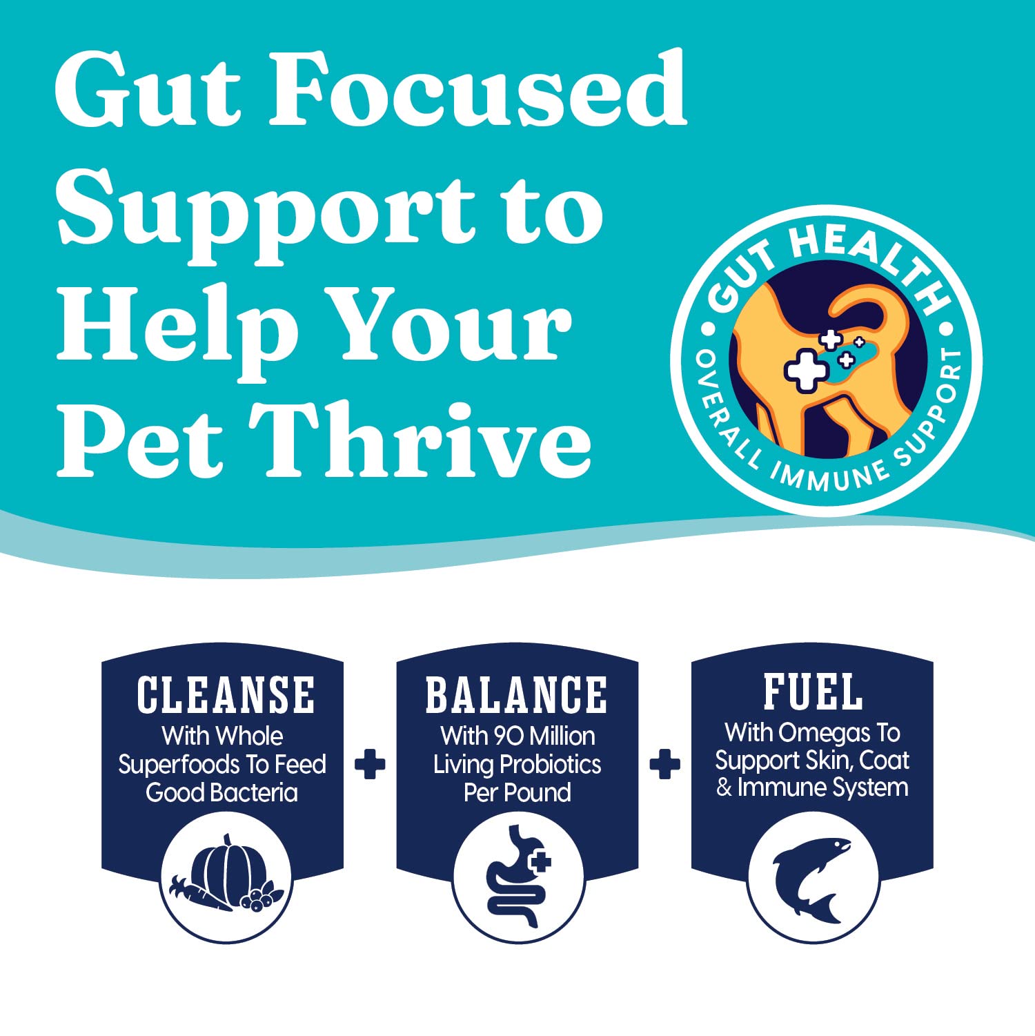 Solid Gold Sensitive Stomach Dog Food for Adult & Senior Dogs - Grain Free Healthy Dog Food w/Real Quail, Pumpkin, Fiber & Probi