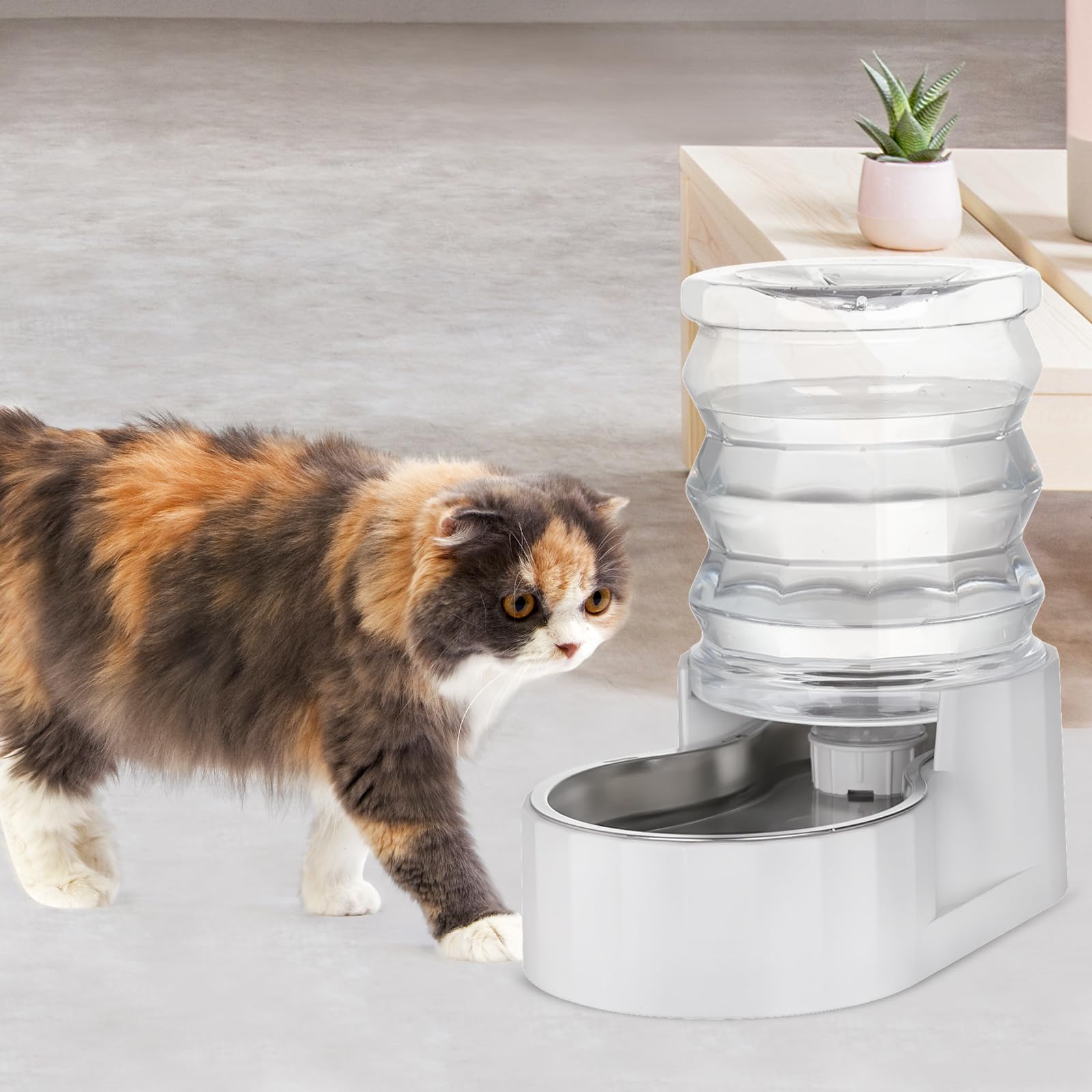 RIZZARI Gravity Water Bowl Dispenser: 4L Automatic Stainless Steel Water Feeder Without Filter - White Pet Waterer for Senior Do