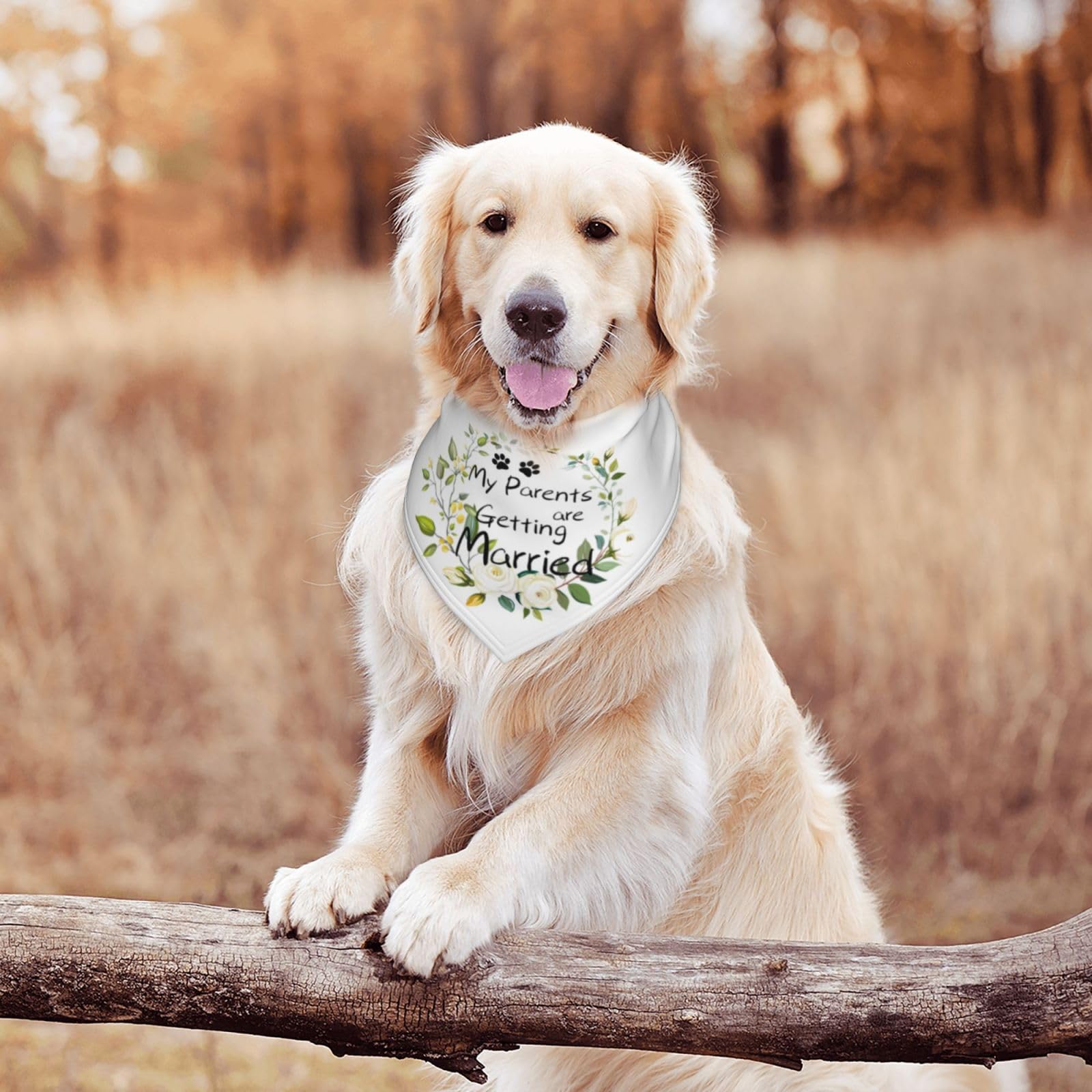 My Parents Are Getting Married Dog Bandana Scarf Triangle Bibs Pet Accessories Cat Kerchief White58 One Size