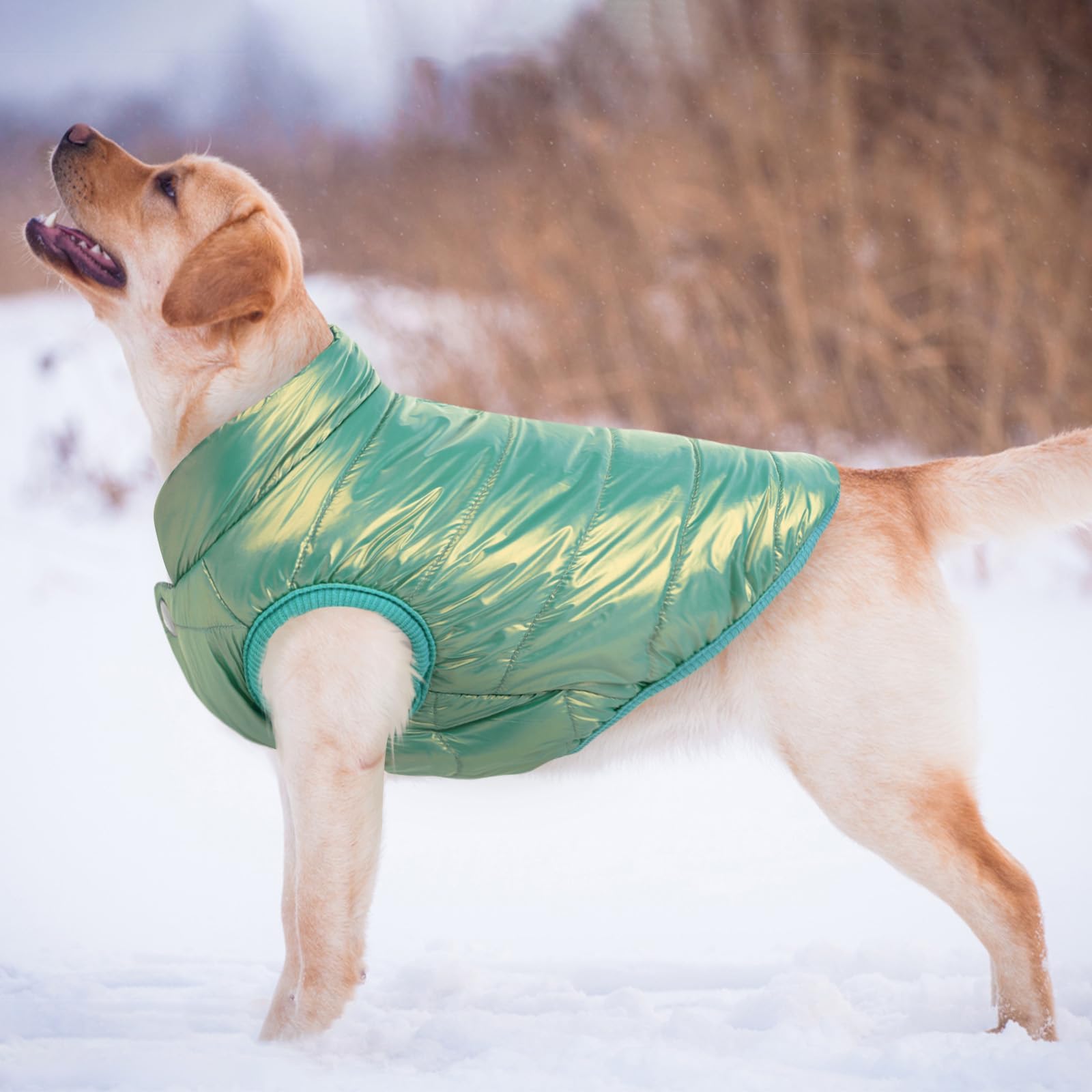 Asenku Windproof Dog Winter Coat Waterproof Jacket Warm Vest Cold Weather Pet Apparel With 2 Layers Fleece Lined For Small Mediu