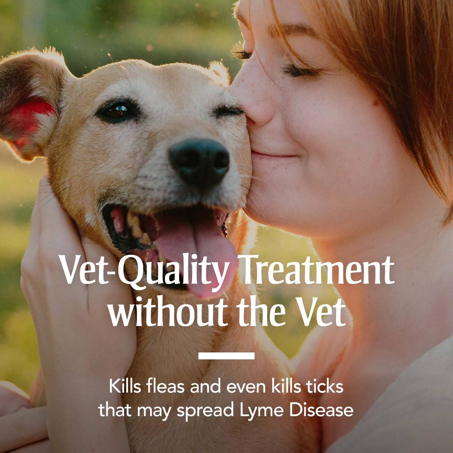 Petarmor For Dogs, Flea And Tick Treatment For Small Dogs (5-22 Pounds), Includes 6 Month Supply Of Topical Flea Treatments