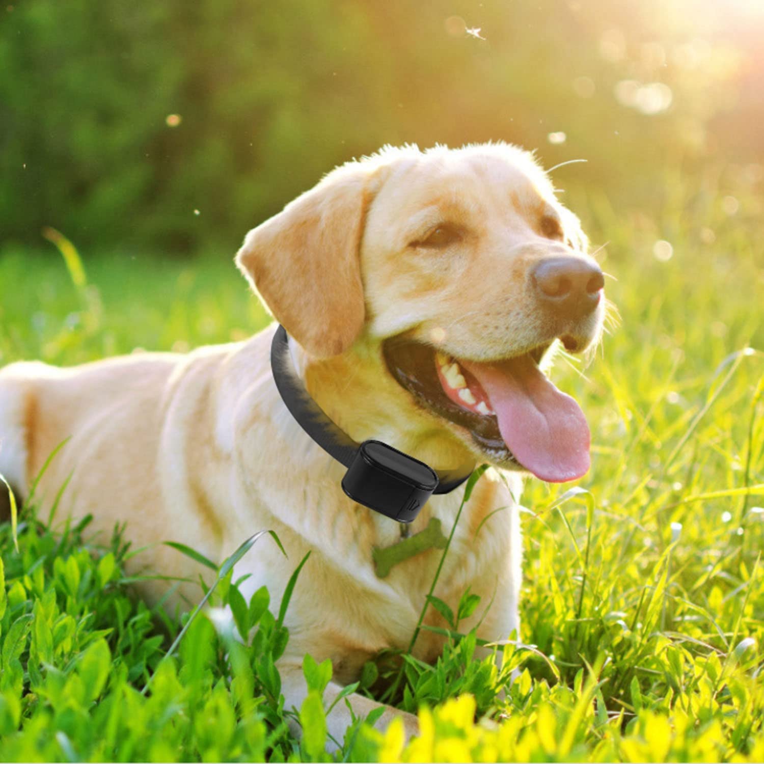 Moclever Electric Wireless Dog Fence Receiver Collar, Covers 1.2 Acre Pet Boundary Containment System, Tone Shock Waterproof, Bu