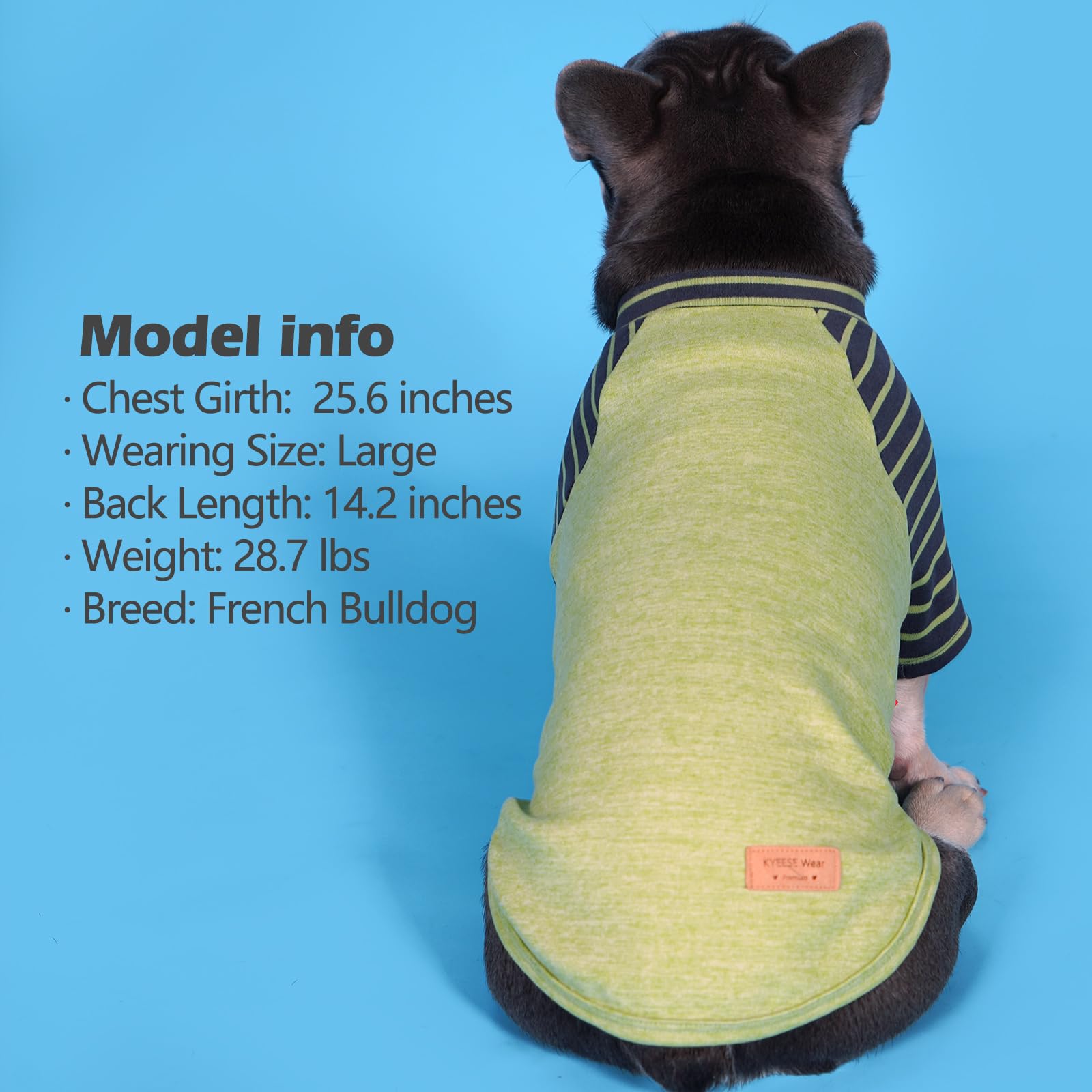 Kyeese 2Pack Lightweight Dog Sweaters Pullover Fleece For Small Dogs Male, Dachshund Clothes, Soft Sweatshirt, Stretchy Comfort