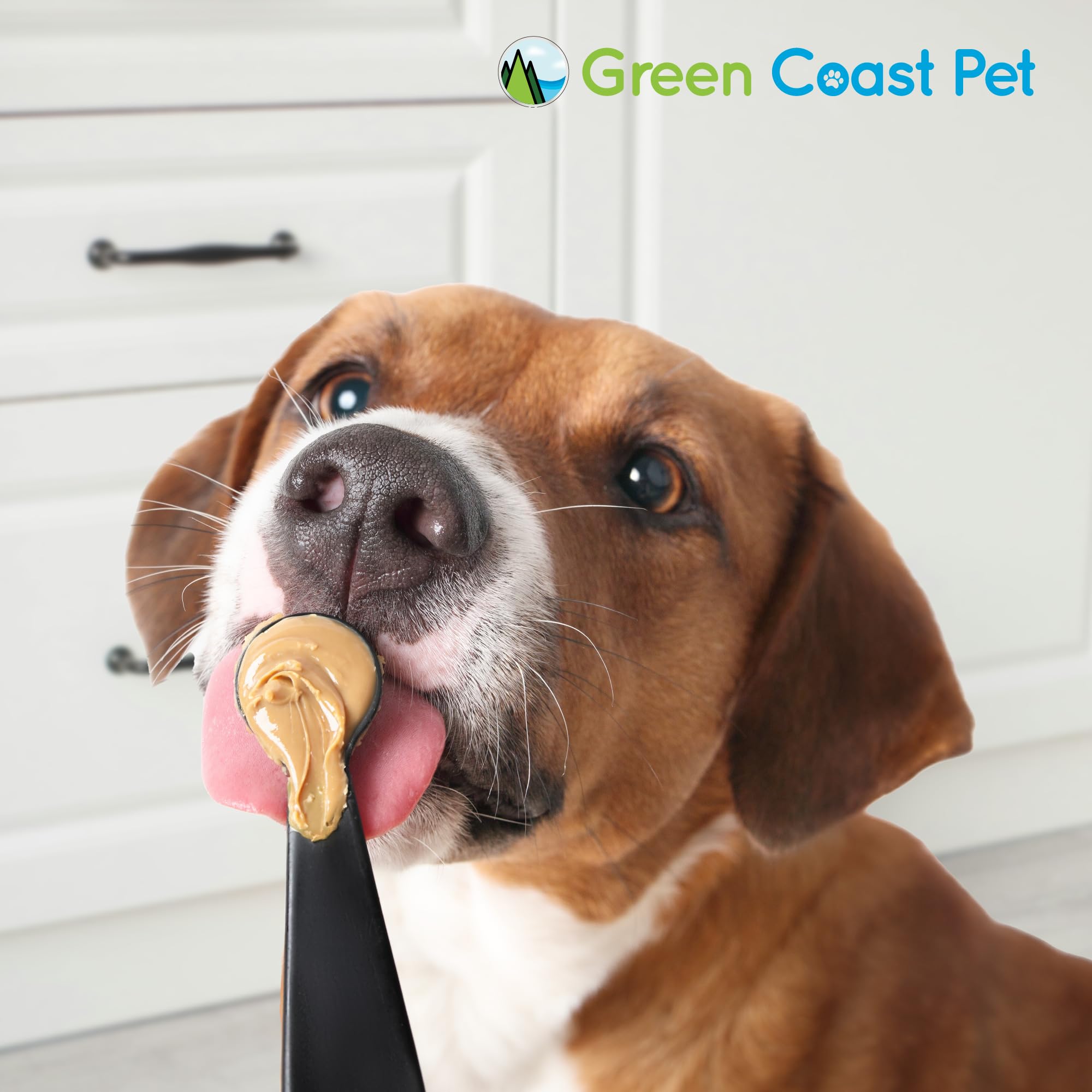 Green Coast Pet Natural Peanut Butter for Dogs Safe - 100% Healthy Dog Treats - No Sugar, Xylitol Free, Digestive Support - Pupp