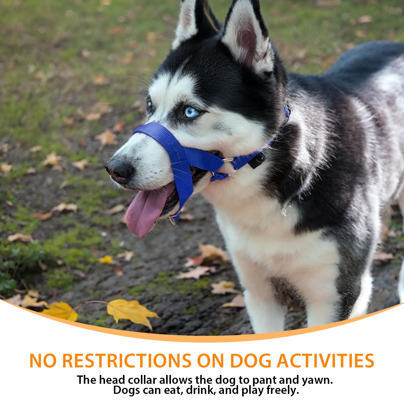 Soft Dog Head Collar, No Pull Training Tool For Small Medium Large Dogs On Walks, Gentle Training Collar And Control For Heavy Pullers, Includes Free Training Guide (M, Blue)