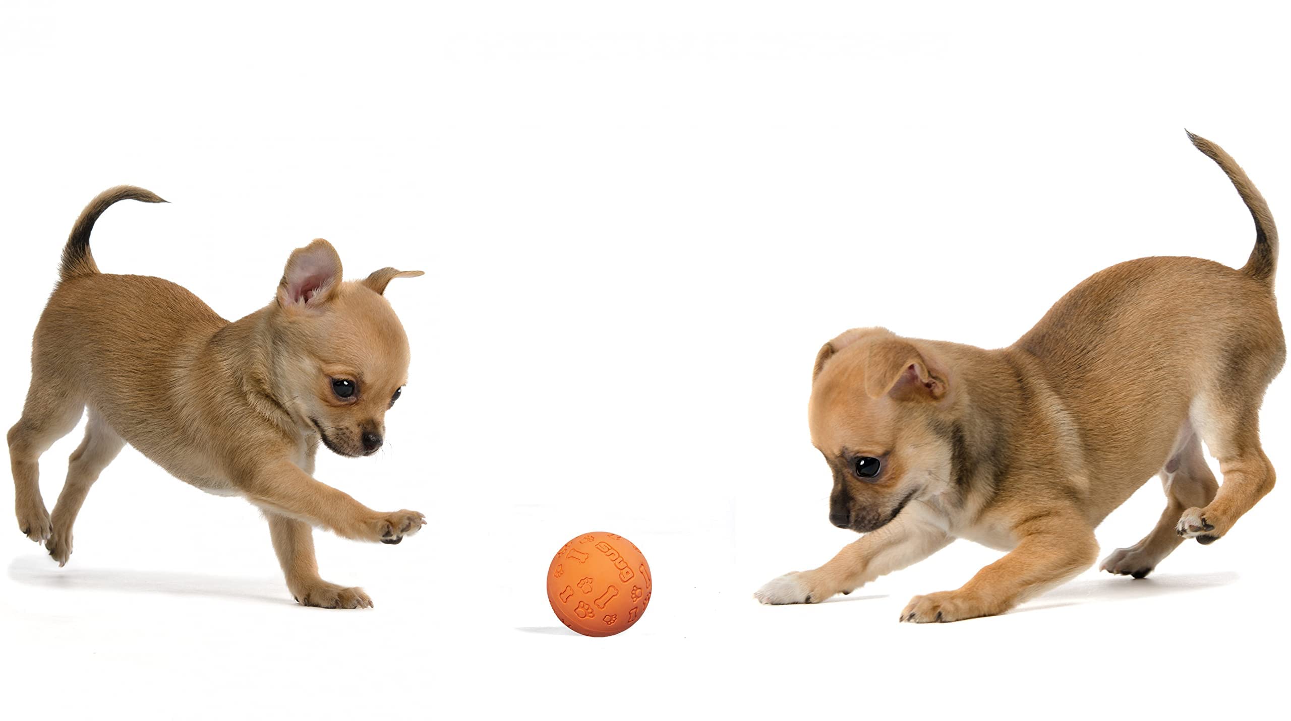 Snug Rubber Dog Balls For Small And Medium Dogs - Tennis Ball Size - Virtually Indestructible (3 Pack - Orange)