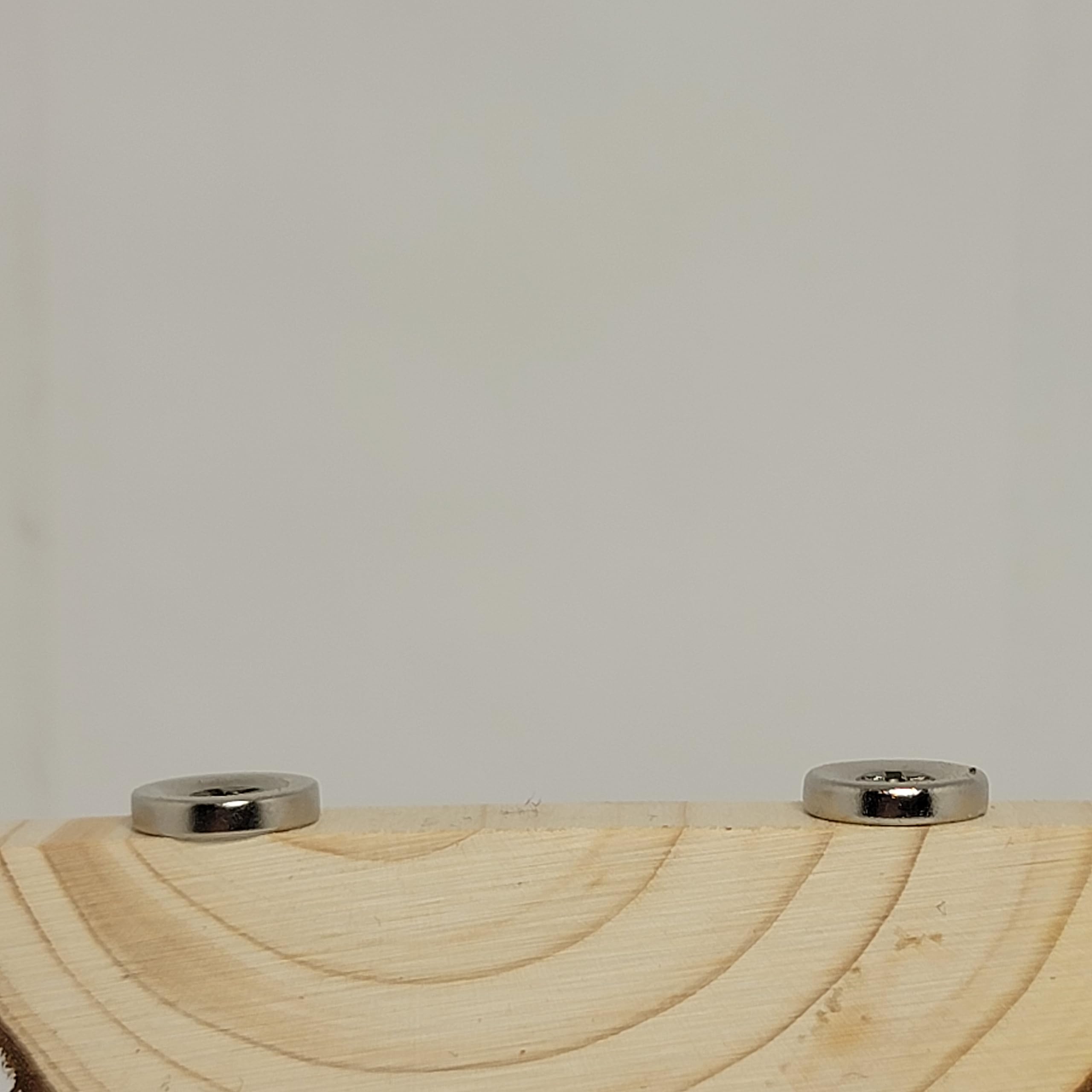 1 Pc. Magnetic Arboreal Ledge | Jumping Spider Ledge | The Critters Cave (Stronger But Longer: Larger External Magnets)