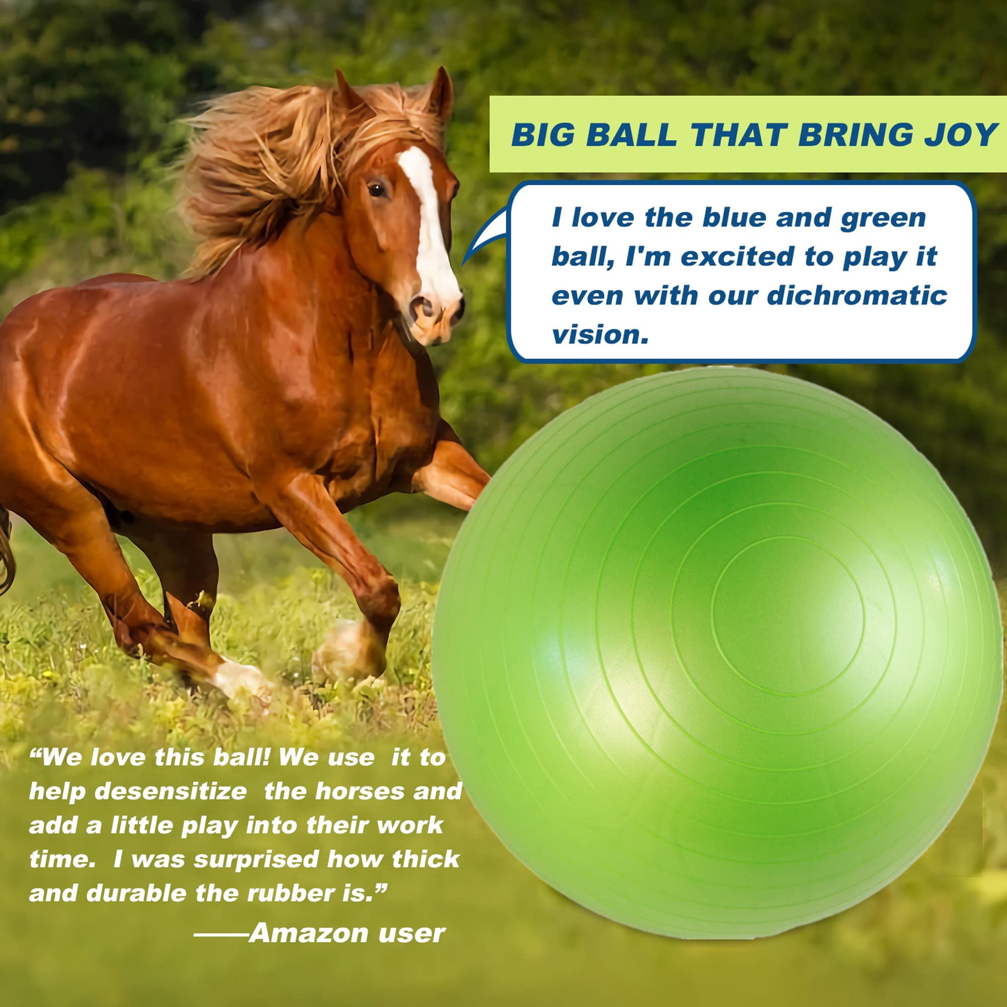 Swyivy 40 Inch Horse Ball Toy Mega Herding Ball Giant Horse Soccer, Pump Included