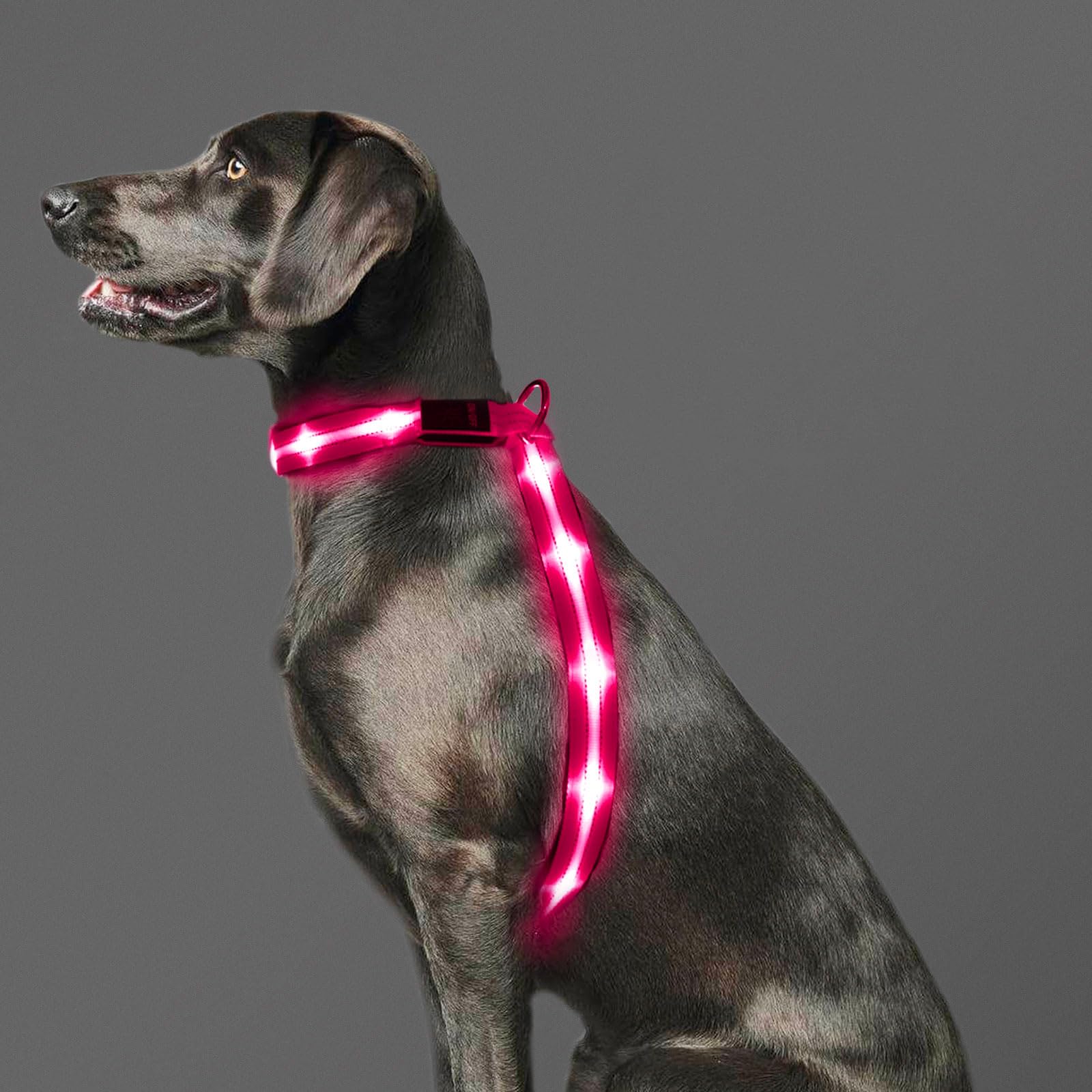 PZRLit LED Light Up Dog Vest Harness Rechargeable, Soft Padded, Adjustable & Reflective, Waterproof, Glow Dark Dog Light Harness