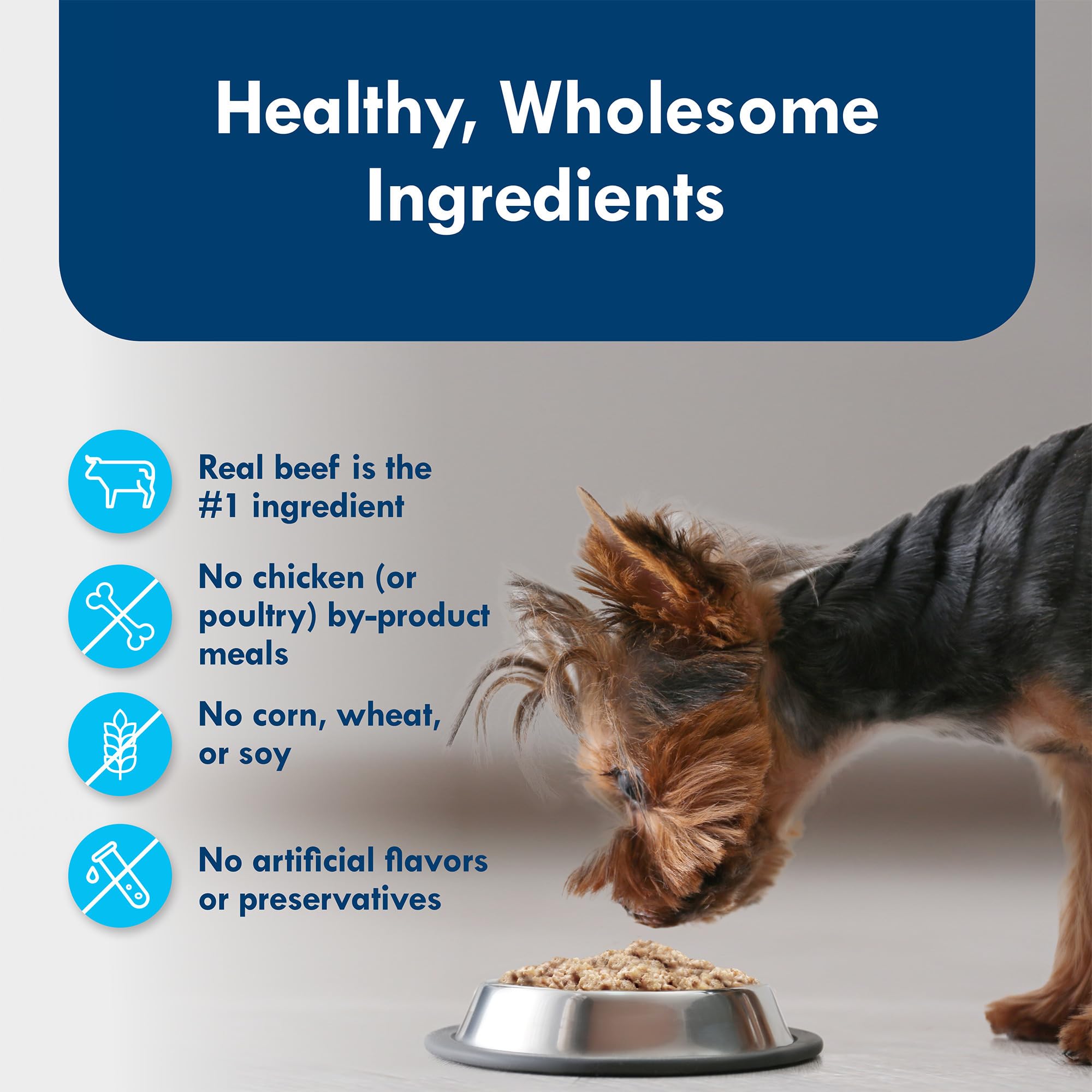 Blue Buffalo Delights Natural Adult Small Breed Wet Dog Food Cups, Pate Style, Filet Mignon and Porterhouse 3.5-oz (12 Pack- 6 o