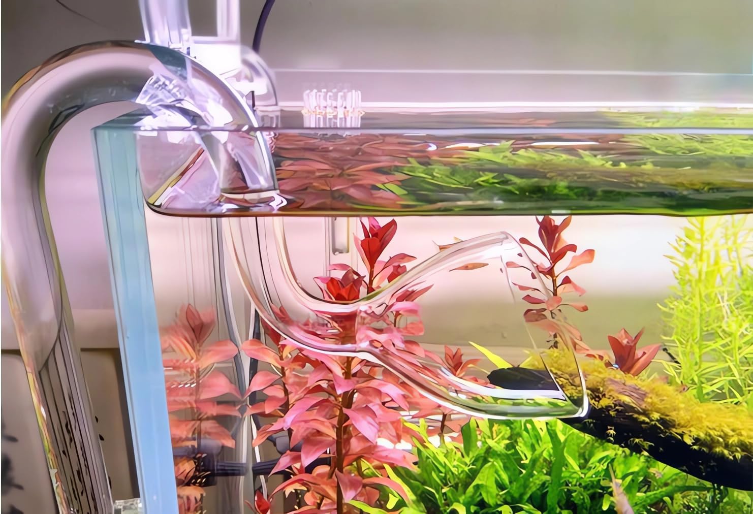 Jardli Plant Aquarium Glass 17Mm Lily Pipe Inflow And Lily Pipe Outflow For 16/22Mm Tube