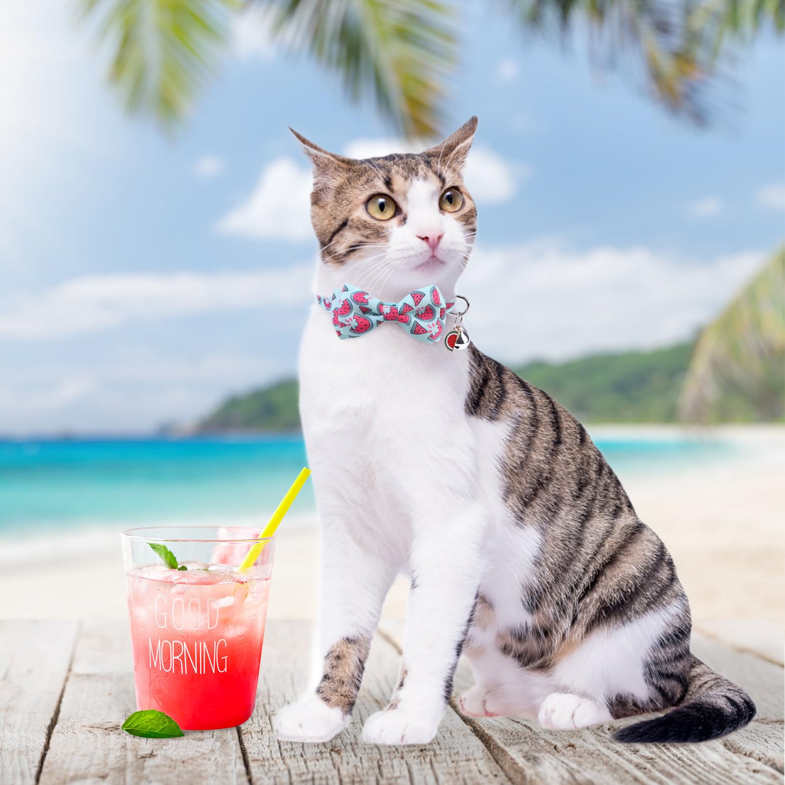 Scenereal Breakaway Cat Collar With Bell, 3 Pack Safety Adjustable Cat Collars With Pendant, Personalised Puppy Kitten Collar Wi