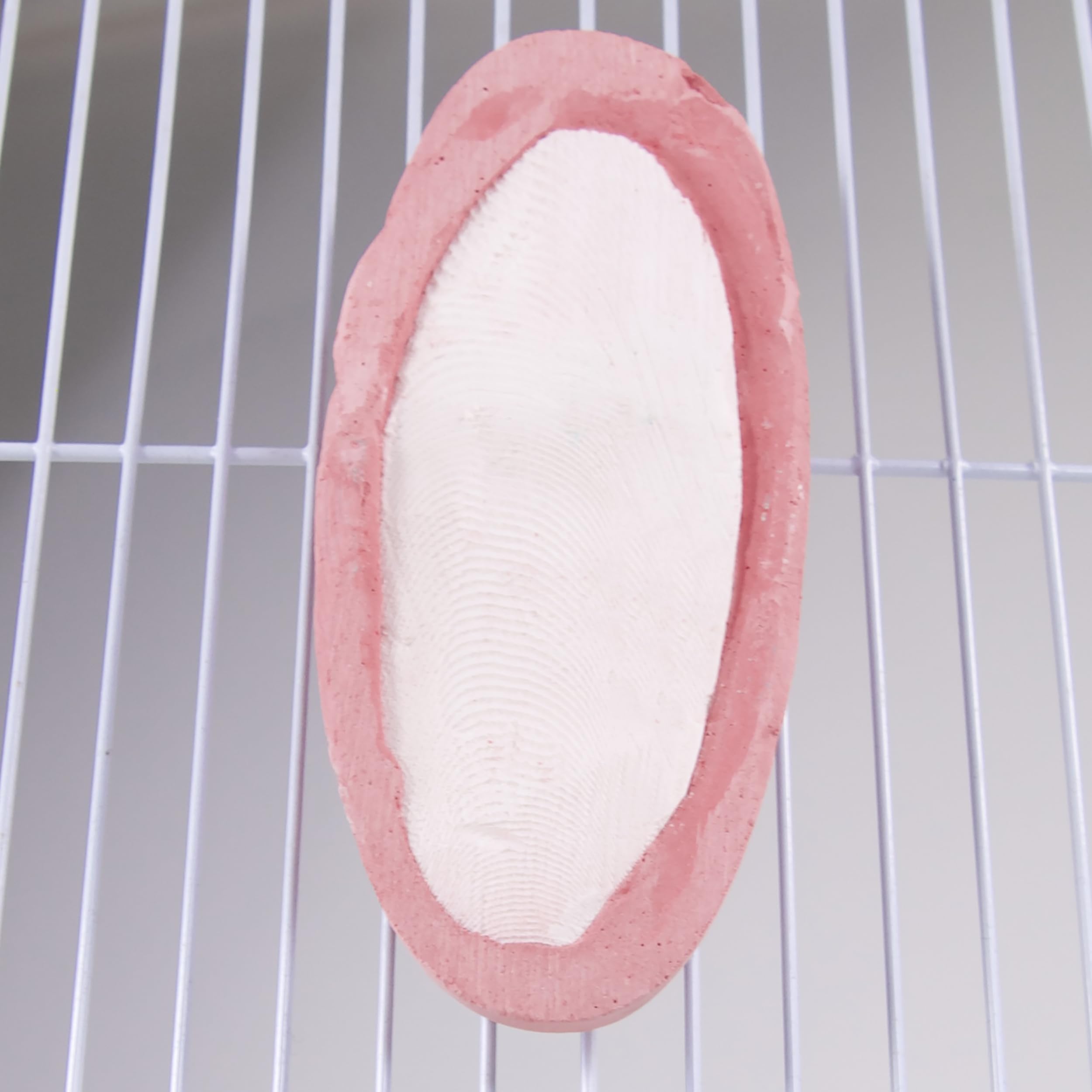 Penn-Plax Bird-Life 2-in-1 E-Cuttlebone & Mineral Block - Berry Flavor - Great for All Birds - 1 Pack