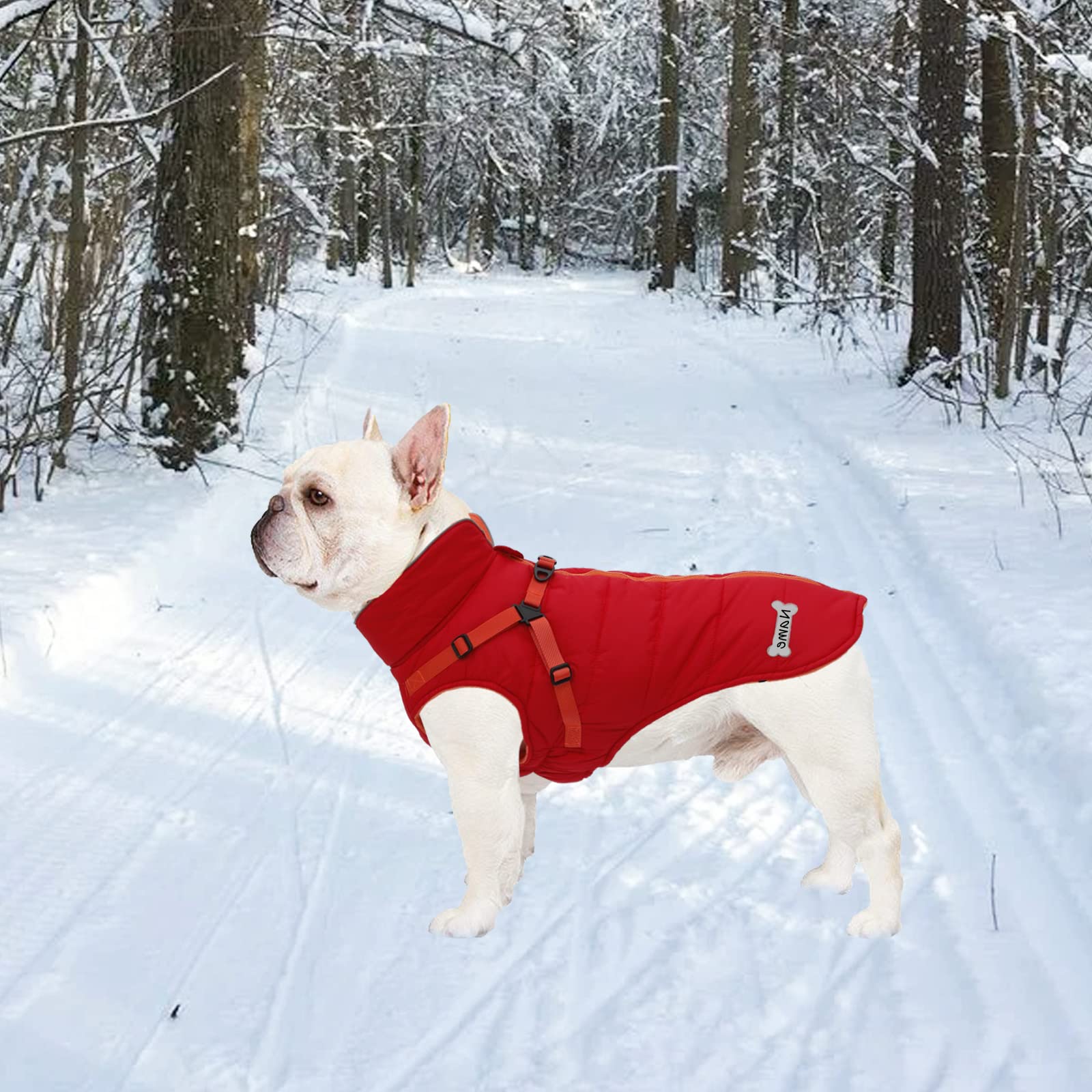 Geyecete Winter Warm Coat Waterproof Dog Winter Jacket With Harness Traction Belt,Windproof Pet Outdoor Jacket Dog Autumn- Can Be Personalized-Red-M