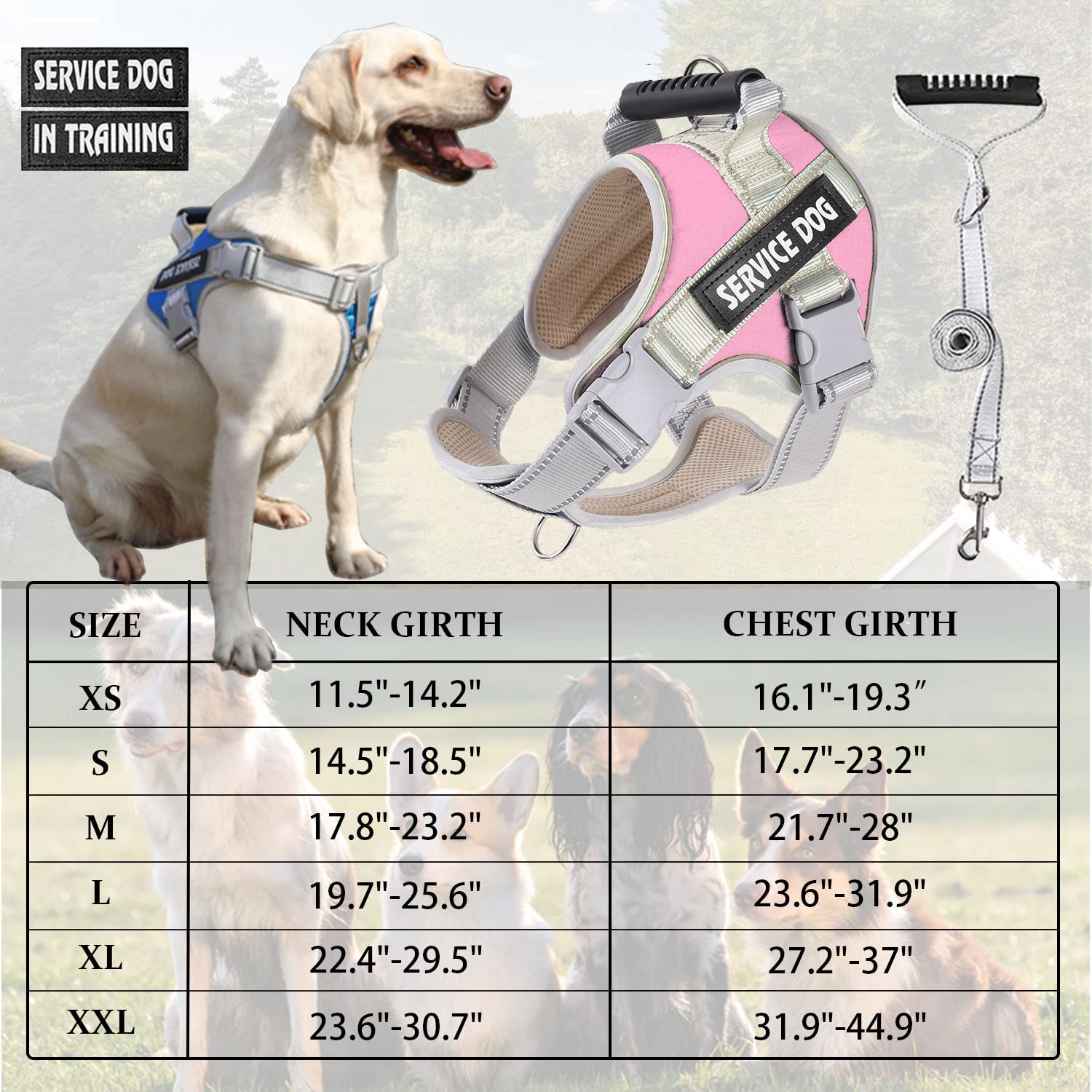 Dogmify Service Dog Vest,No Pull In Training Service Dog Harness And 5Ft Dog Leash Set, Adjustable 3M Reflective Nylon Pet Dog Vest With Handle,Easy Control For Small Medium Large Dogs(Xl,Pink)
