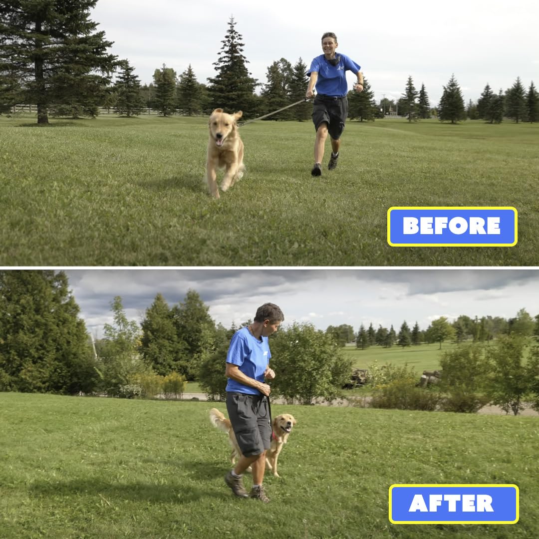 Generic Barks No More Dog Training Device & Bark Deterrent - Stop Barking Without Hurting Your Pet - Just Point & Press!, Black