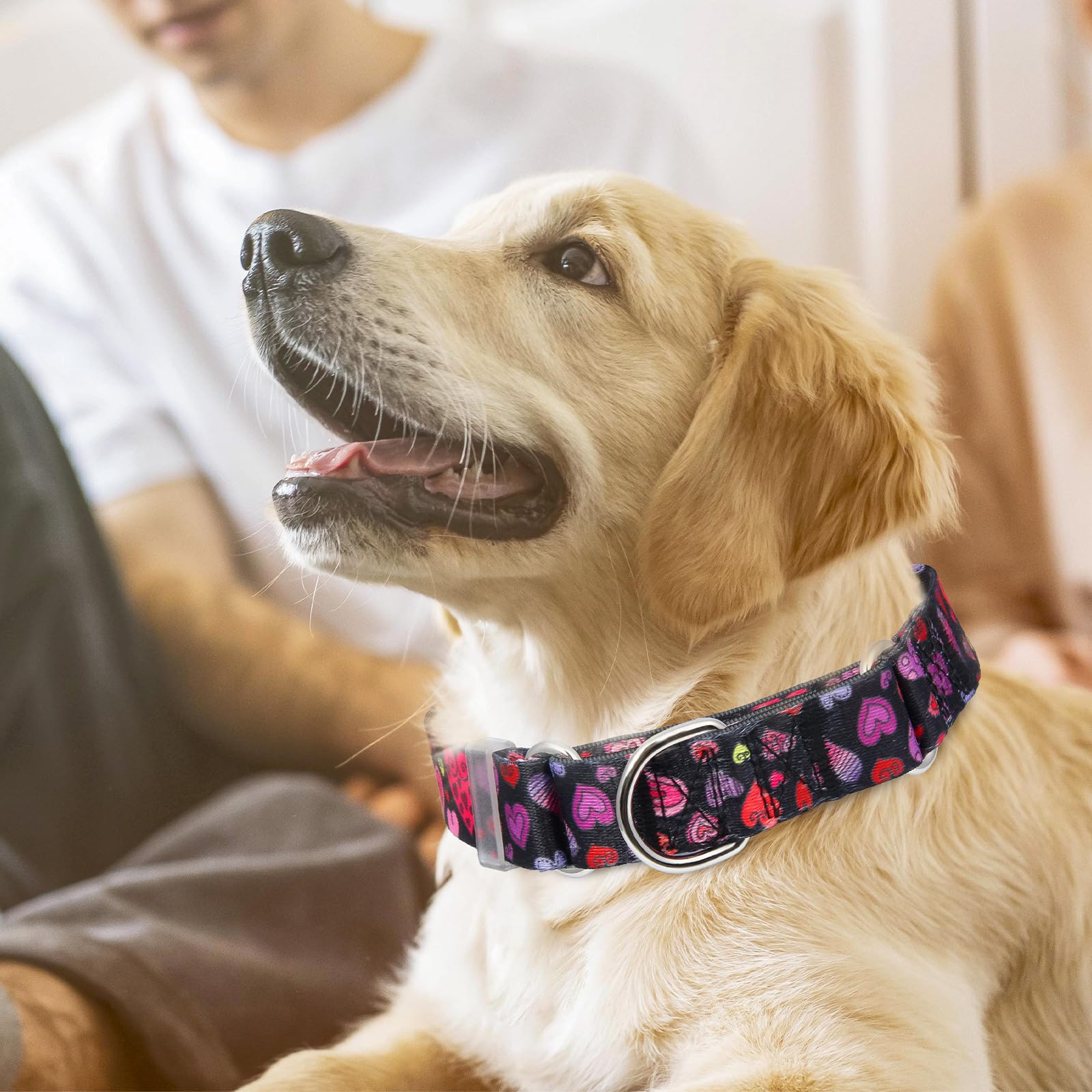 Martingale Dog Collar For Small Medium Large Dogs, Adjustable Training No Pull Dog Collar With Special Heart Love Design (S)