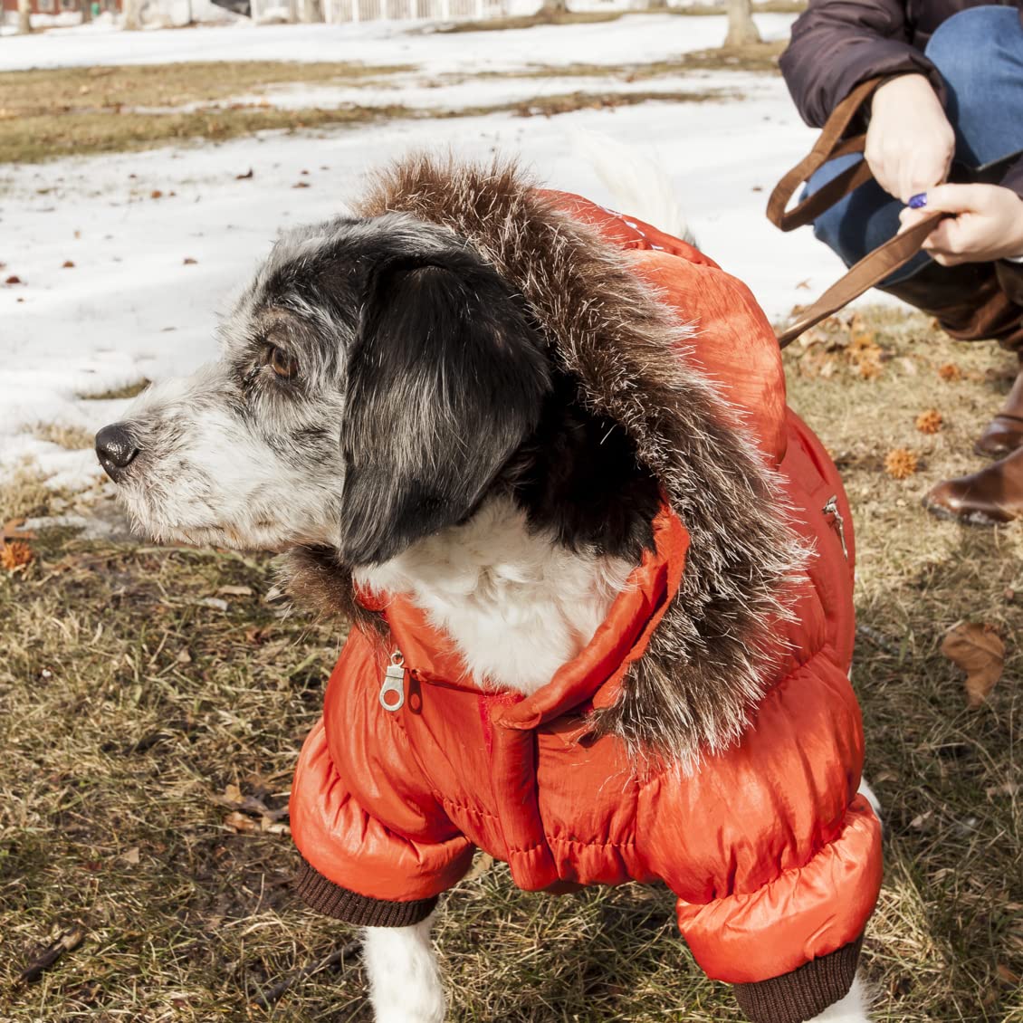 Metallic Fashion Pet Parka Coat