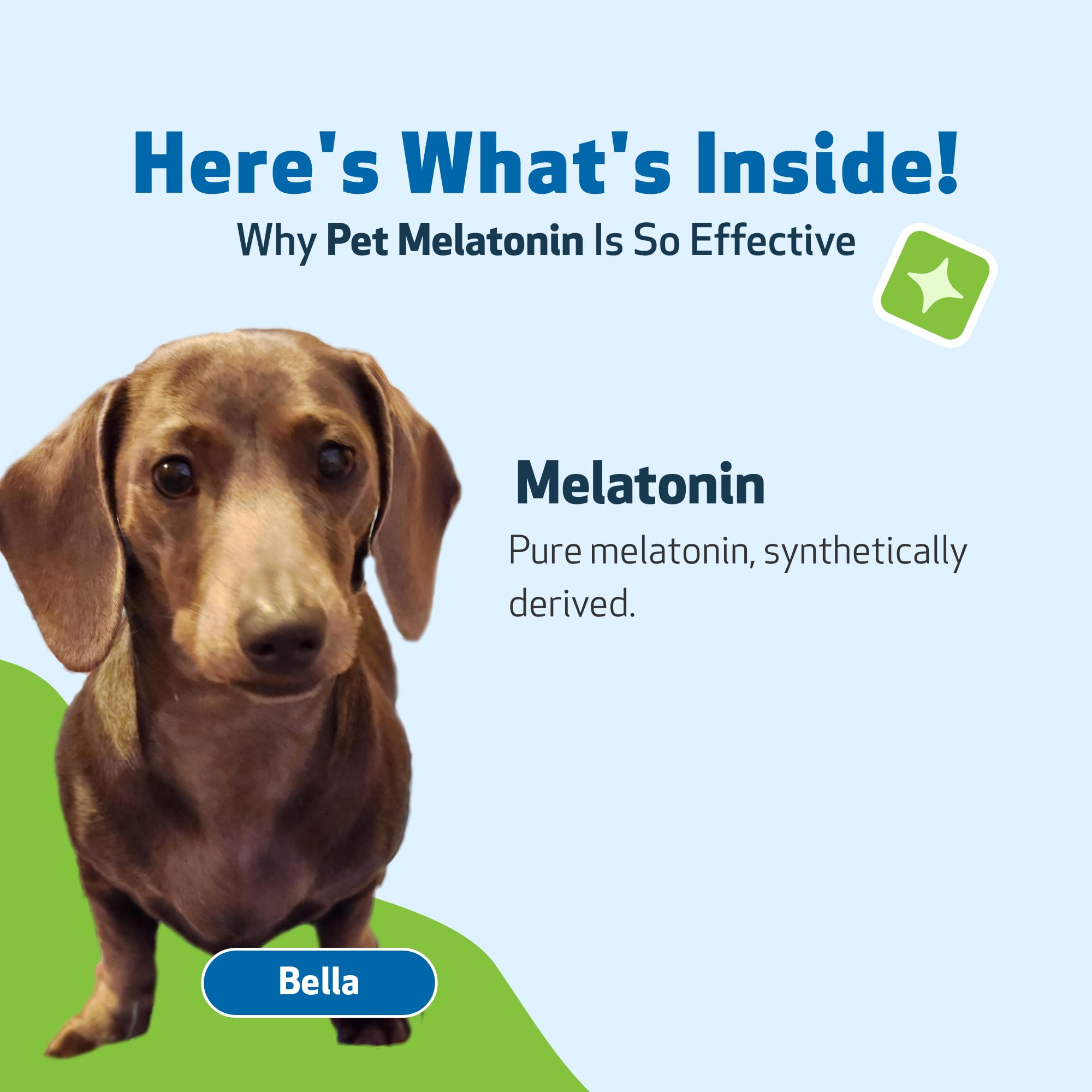 Pet Wellbeing Pet Melatonin for Dogs - Supports Adrenal Health, Cortisol Balance, Helps Maintain Normal Sleep Patterns - Veterin