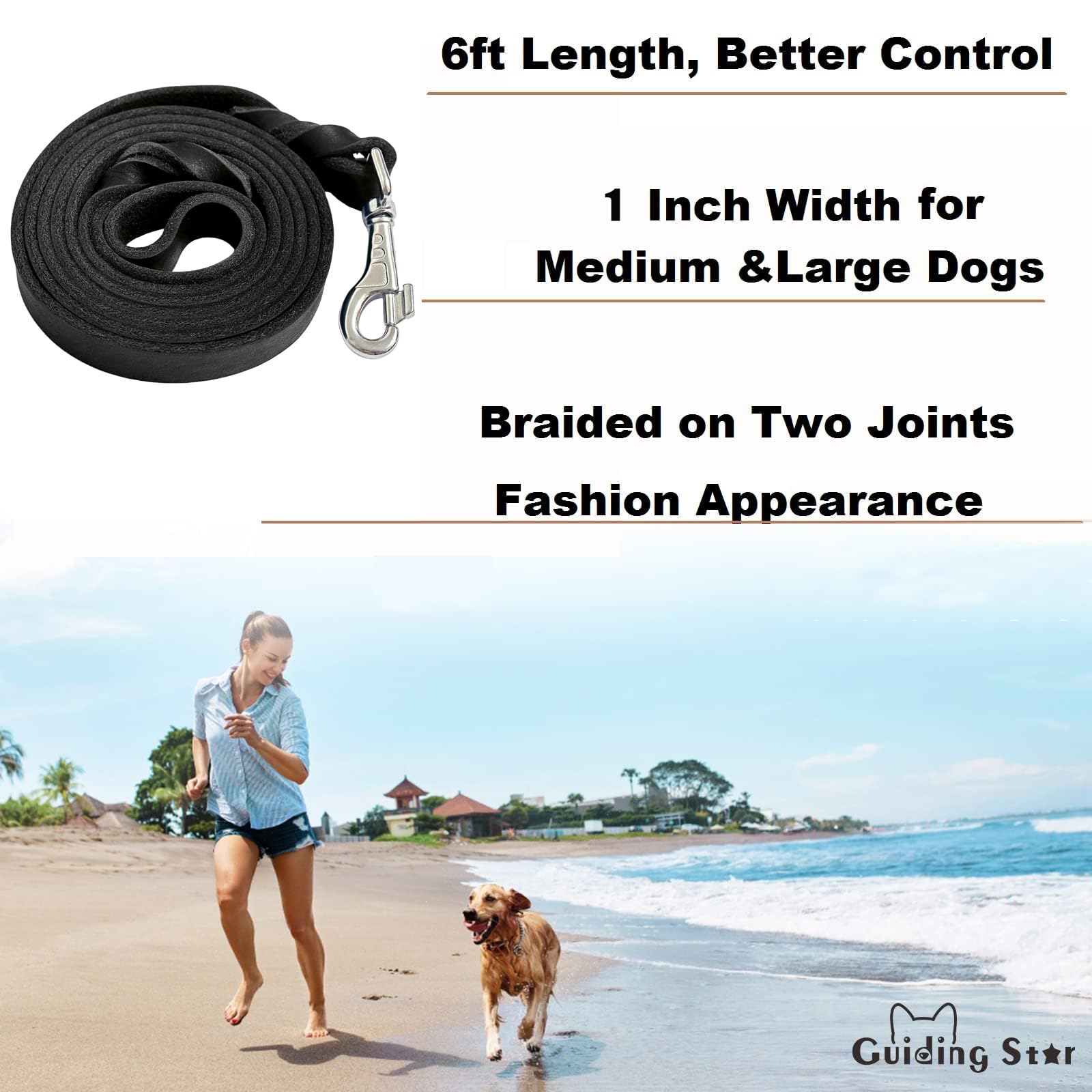 Leather Dog Leash, Heavy Duty, Braided Leather For Large Breed Dogs, 6Ftx1In, Black