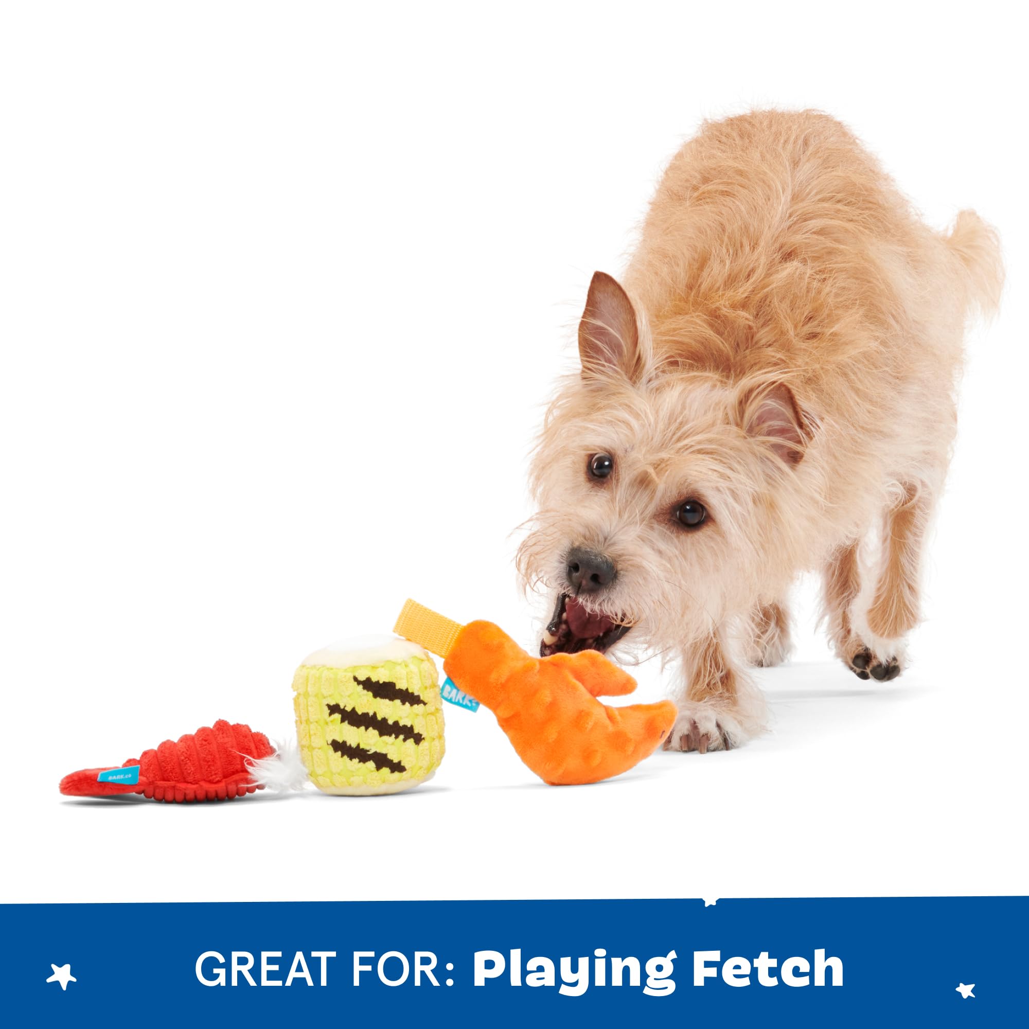 Barkbox The Maine Event Dog Toy Bundle - Squeaky Dog Toys - Plush Dog Toys - Puppy And Pet Toys For Medium To Large Dogs