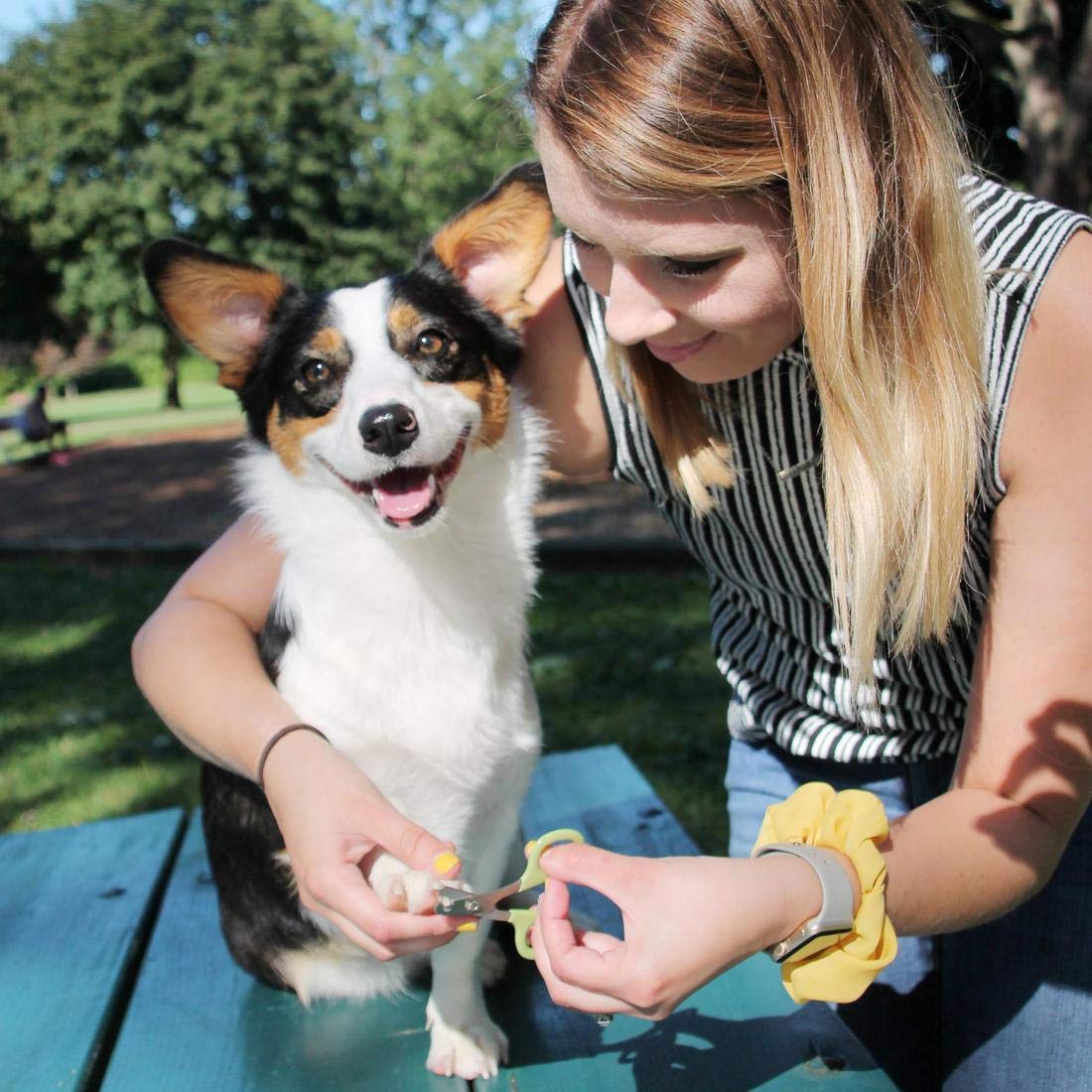 Coastal Pet - Safari - Dog Nail Trimmer, No Color, One Size (3.5' L X 2.125' W)