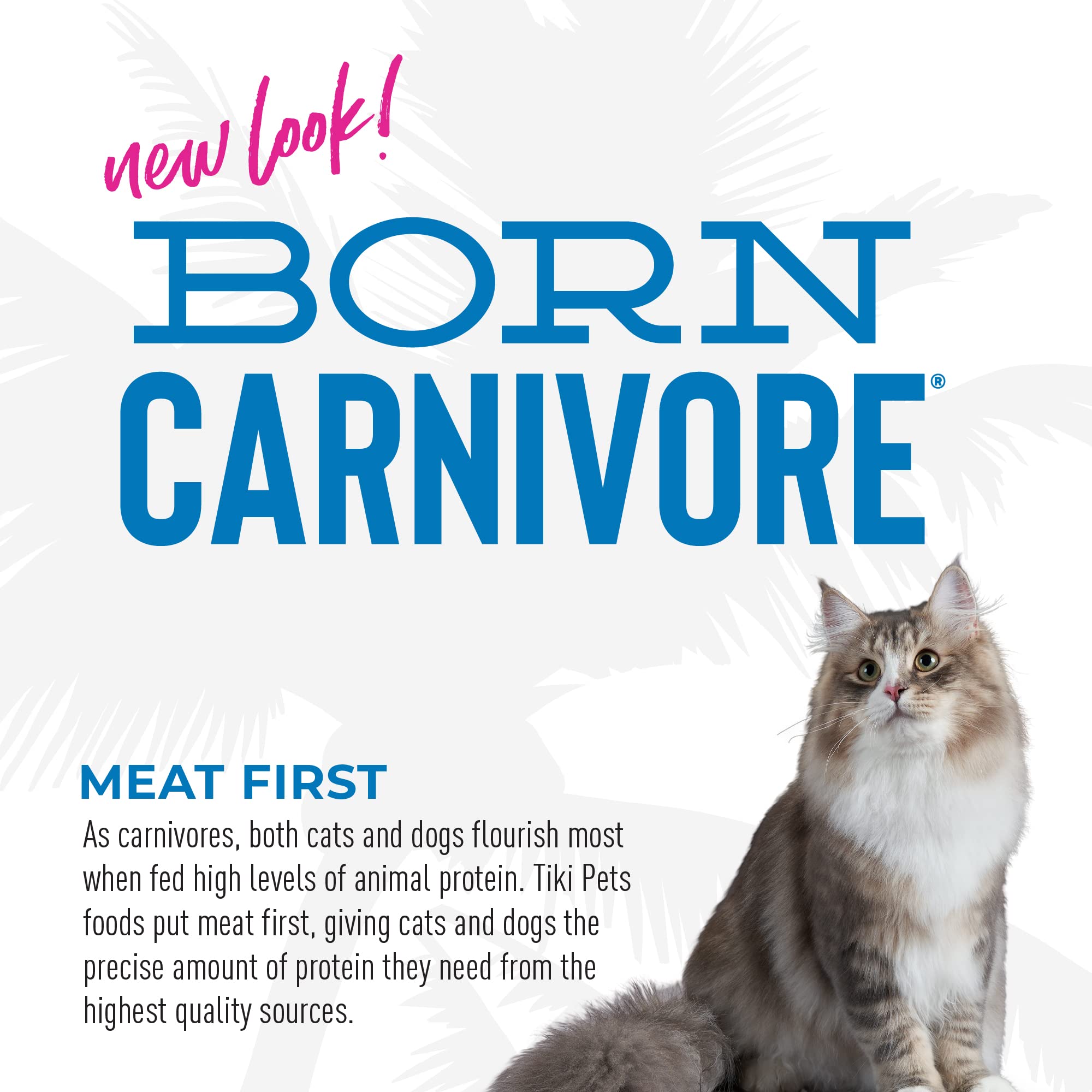 Tiki Cat Born Carnivore High Protein, Herring & Salmon Meal, Grain-Free Baked Kibble to Maximize Nutrients, Dry Cat Food, 2.8 lb