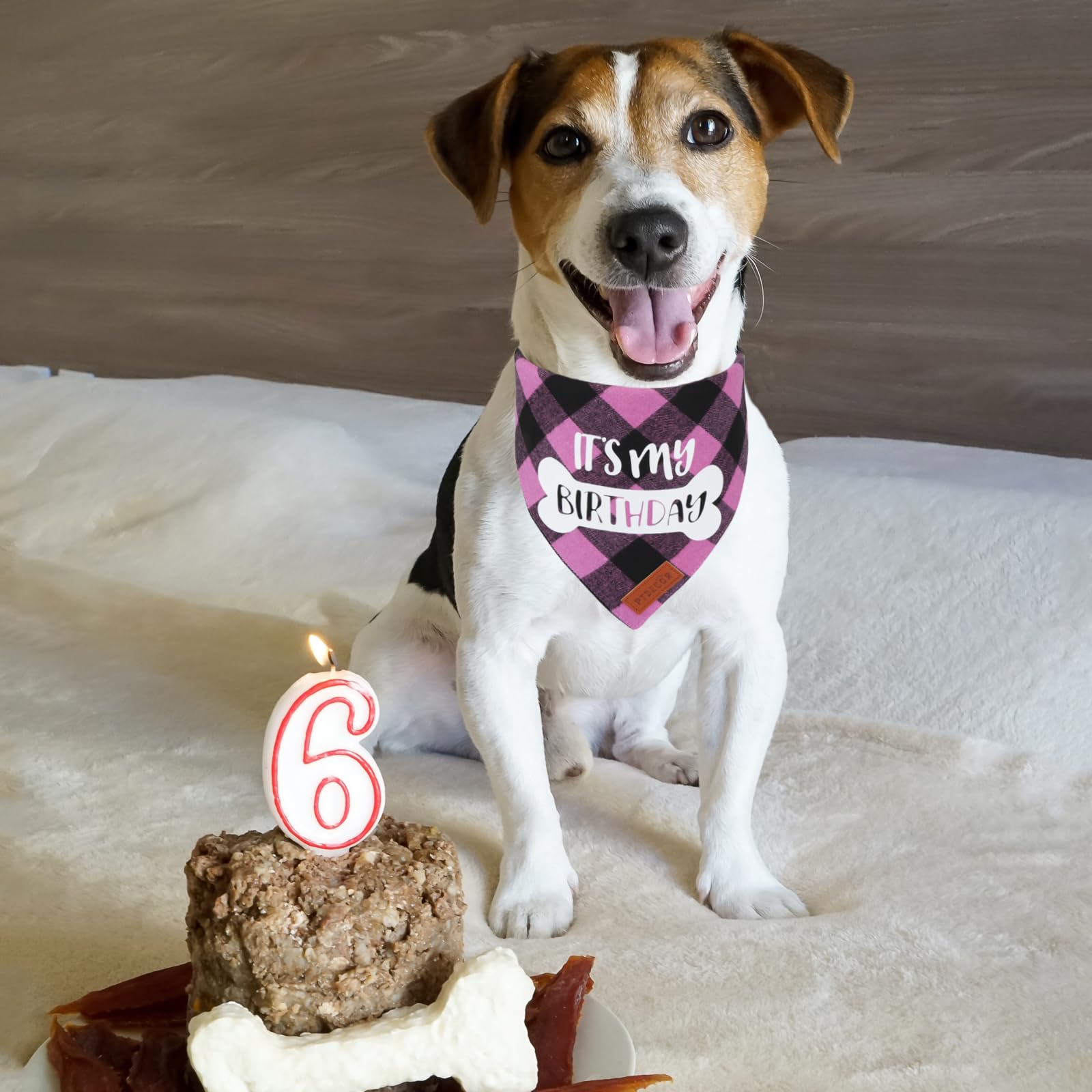 PTDECOR Dog Birthday Party Supplies, Its My Birthday Scarf Pink Plaid Girl Bandana for Medium Large Dogs (Pink, Large)