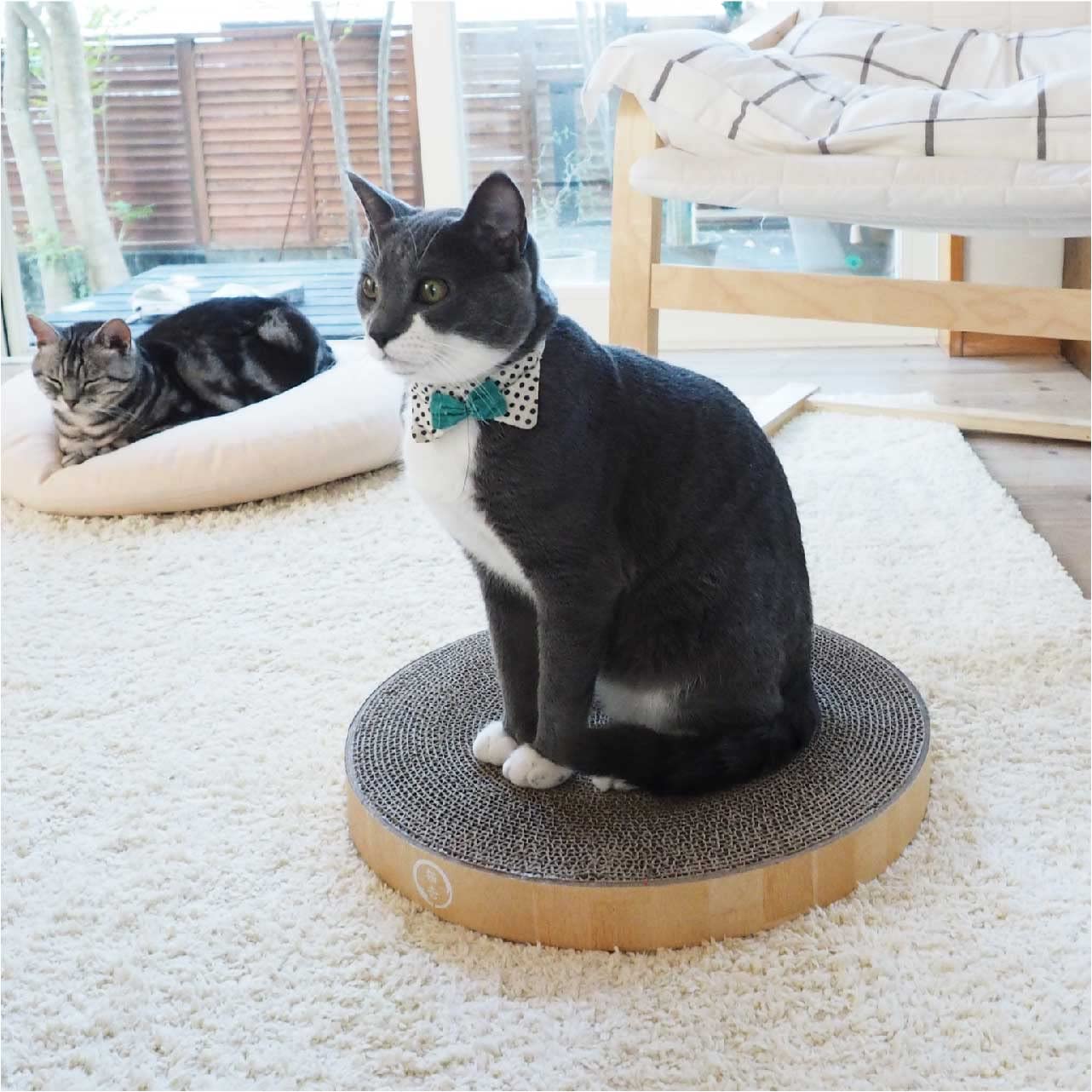 Necoichi Cat Scratcher Bowl Replacement For Indoor Cats - Cat Scratching Lounger With Reversible Usability And Extra Comfort For Lounge, Cardboard Bed Couch / (Regular, Oak)
