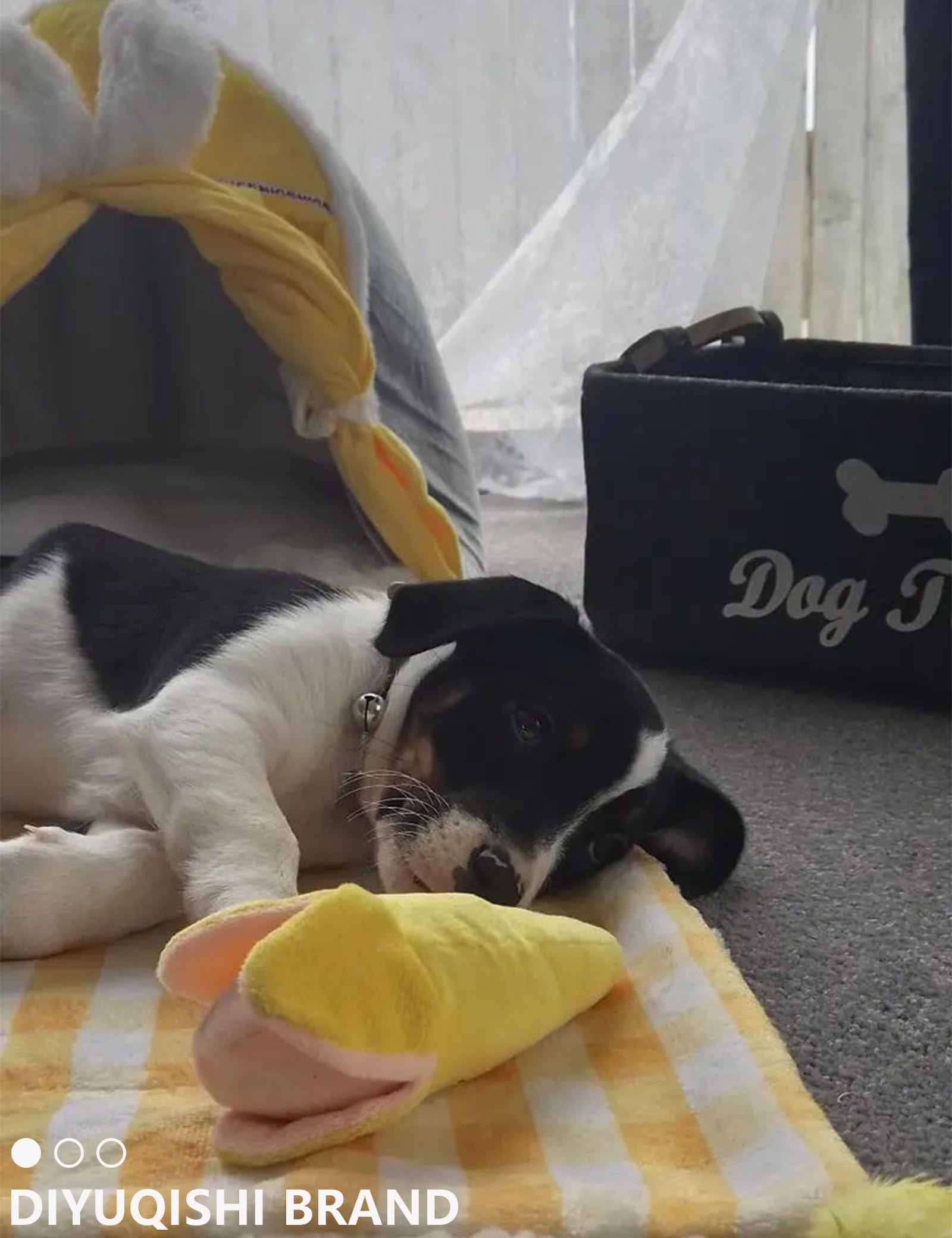 Diyuqishi 2-Pack Puppy Chew Toys - Soft & Sturdy Squeaky Pizza & Banana For Small Dogs, Dental Health, Indoor Playtime Fun (3.9'