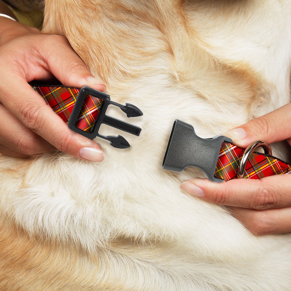Buckle-Down Tartan Plaid2 Red/Green/Yellow Plastic Clip Collar, 1' X 9-15'/Small