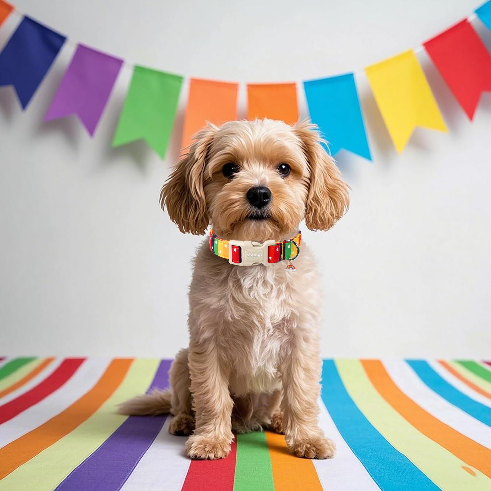 Dogwong Lgbt Dog Collar, Rainbow Lgbtq Dog Collars, Adjustable Cute Pride Lgbt Pet Collars Design Quick Release Buckle Dogs Neck