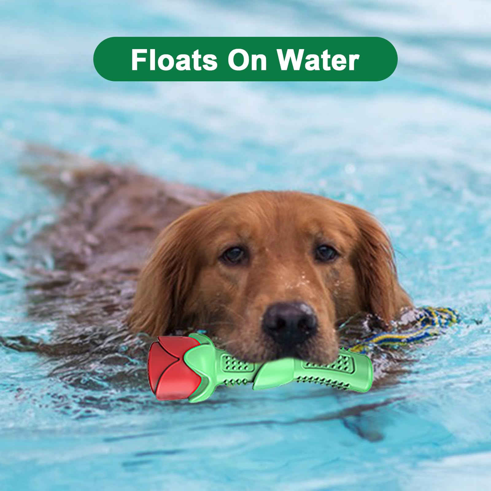 Ucho Dog Toys For Training Chew Play, Rose Fetching Dog Pool Toys, Floats Water Toy, And Interactive Pet Chew For Aggressive Che