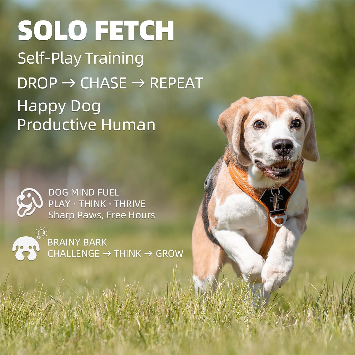 UJQW AutoDog Ball Launcher - Large Silent Dog Ball Thrower with Remote Control, 3 Adjustable Distances (40t/60ft/80ft), Recharga