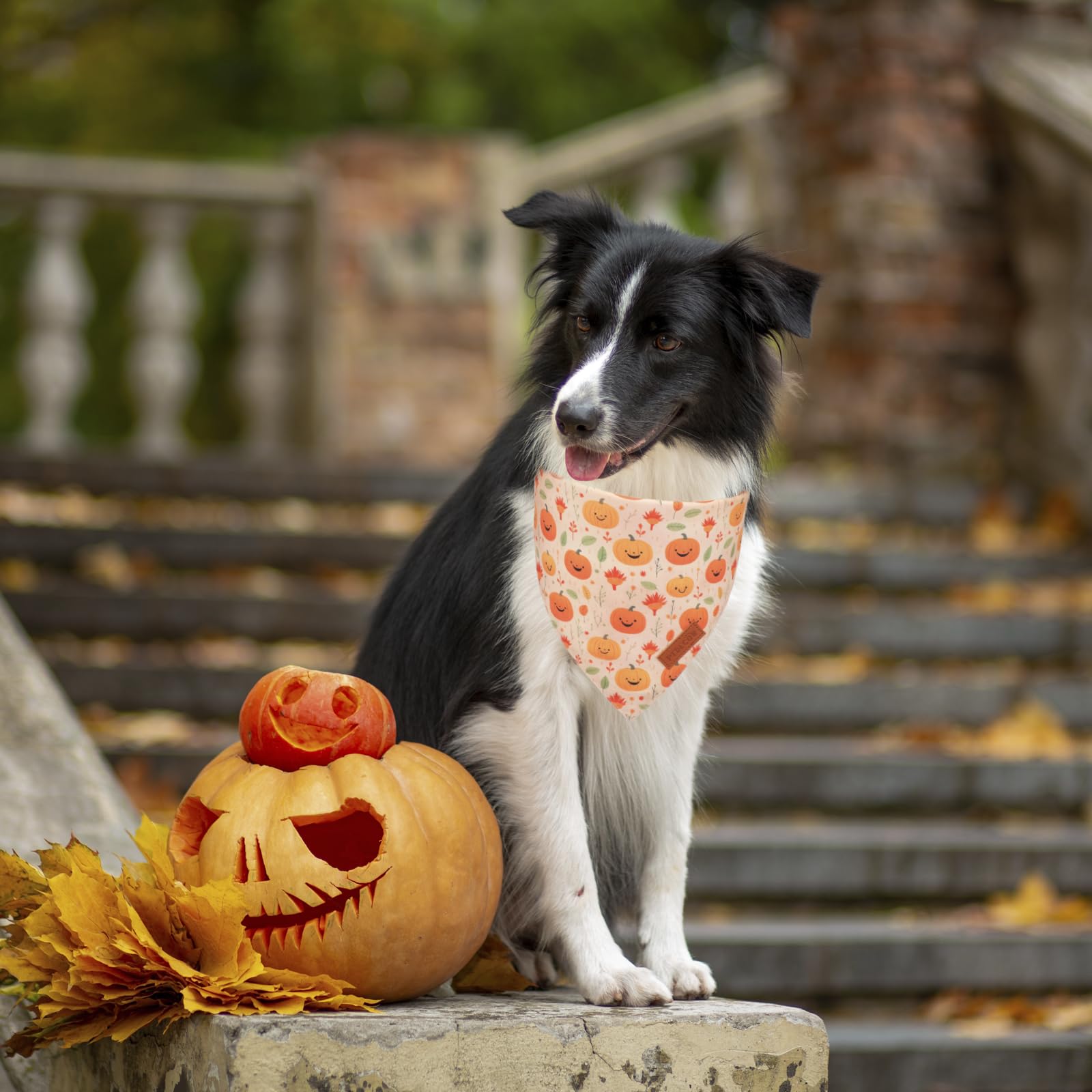 Ptdecor Halloween Dog Bandana, Ghost Pumpkin Design Reversible Holiday Dog Scarf, Triangle Halloween Bandanas For Medium Large D