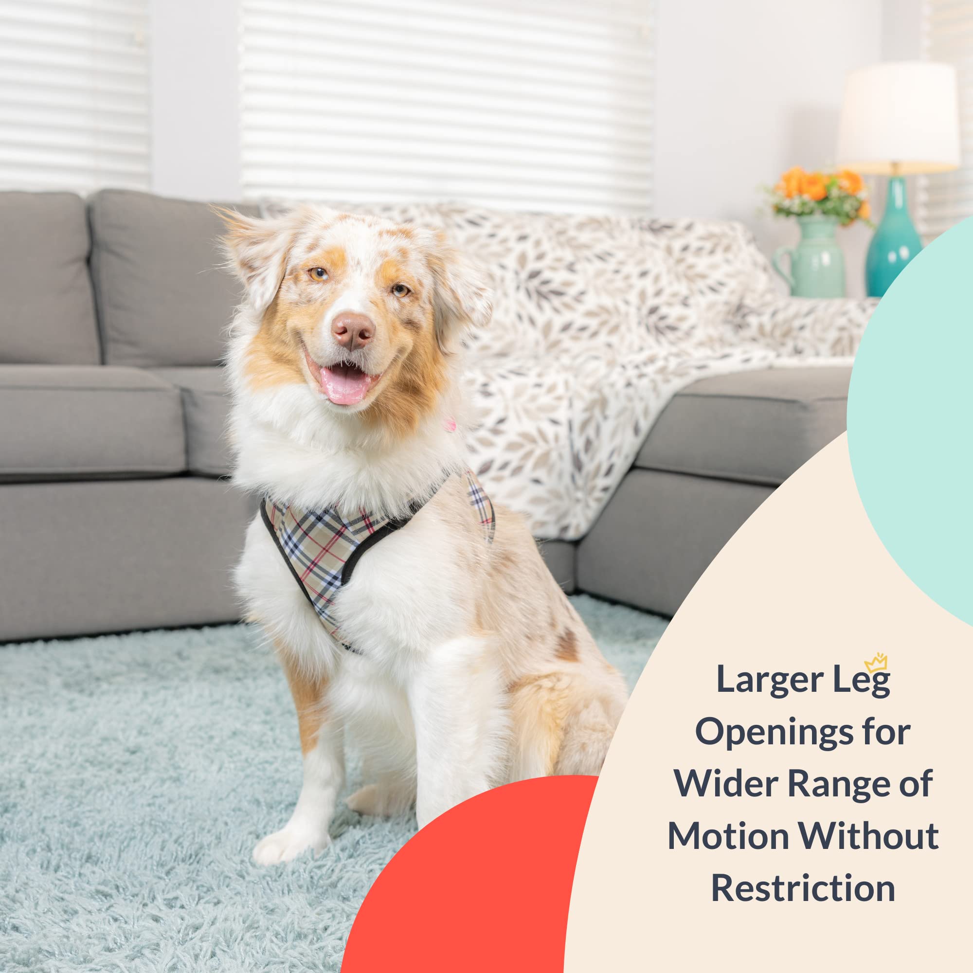 Huxley & Kent Hudson Walking & Training Harness - High Street Plaid (Medium, 15-22Lbs) - Easy Control Step-In Mesh Vest Harness