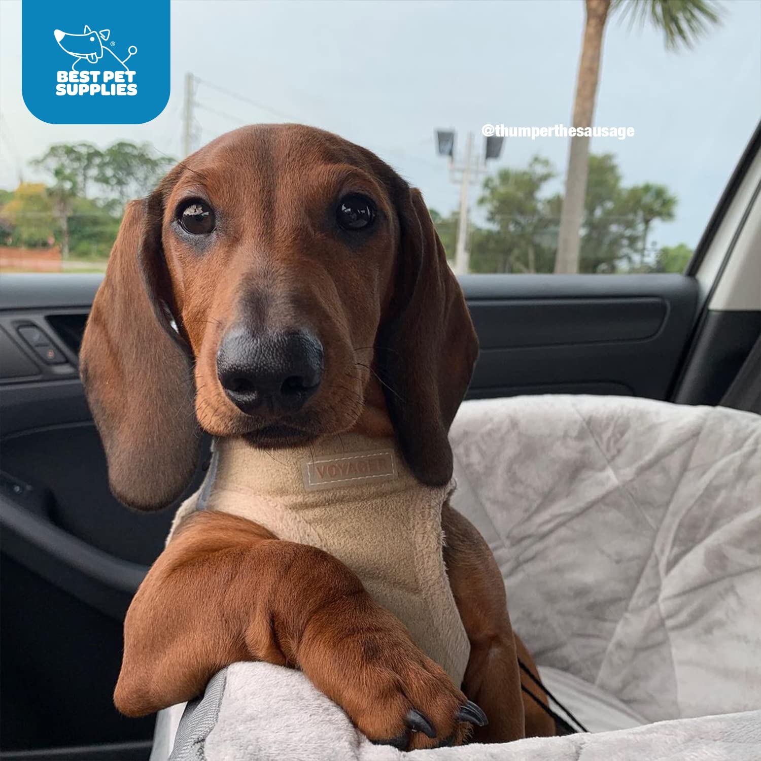 Voyager Step-In Plush Dog Harness - Soft Plush, Step In Vest Harness For Small And Medium Dogs By Best Pet Supplies - Red Plush, Xs (Chest: 13 - 14.5')