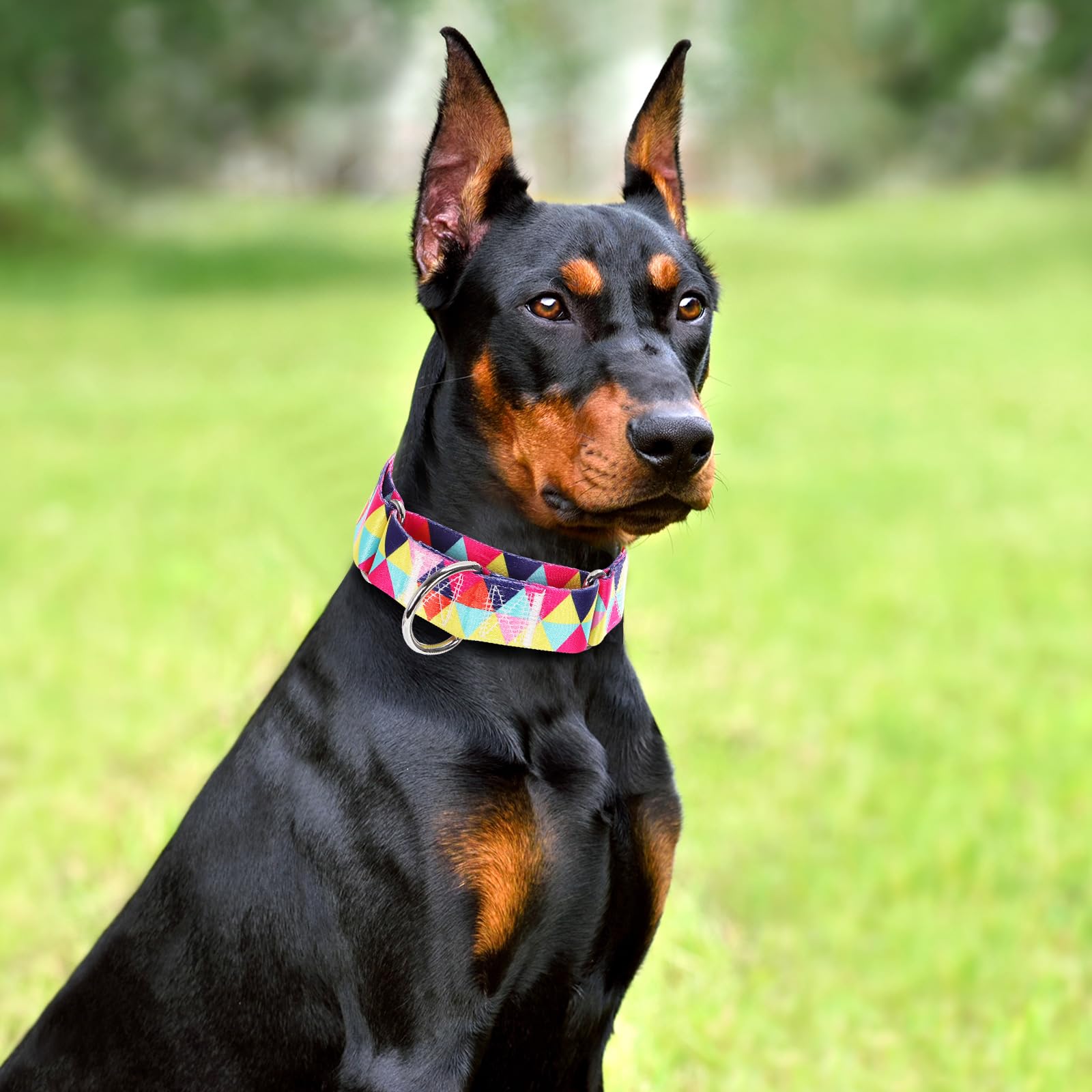 Wide Martingale Dog Collar - Heavy-Duty Escape-Proof Training Collar For Medium, Large & Xl Dogs | Big & Thick No Pull Adjustabl