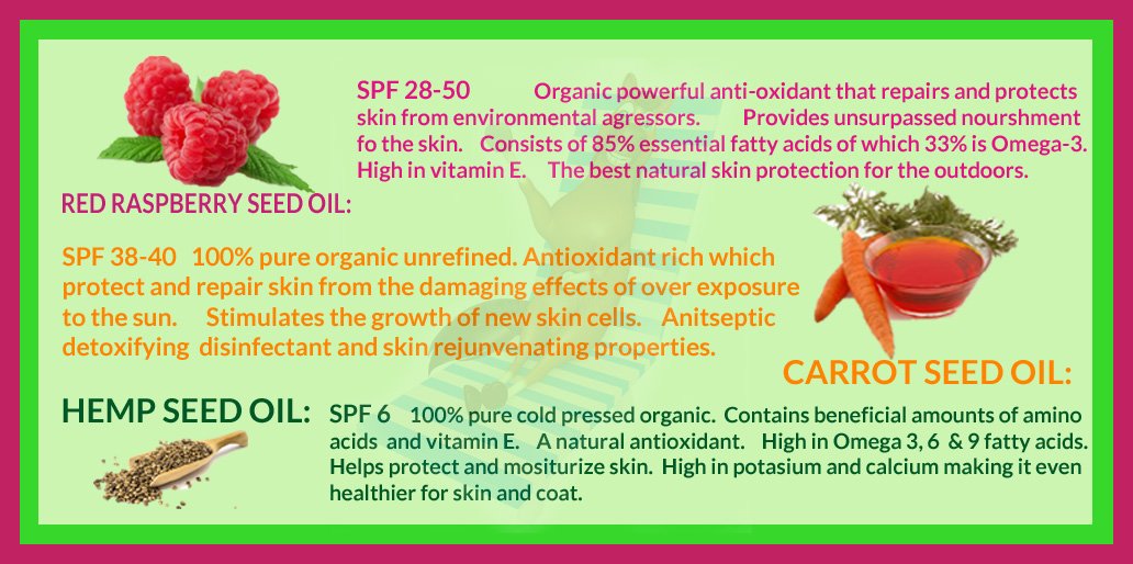 Sit Stay Forever Organic Horse Sunscreen & Moisturizer, 4oz, All Natural, screw top tin, Made in USA