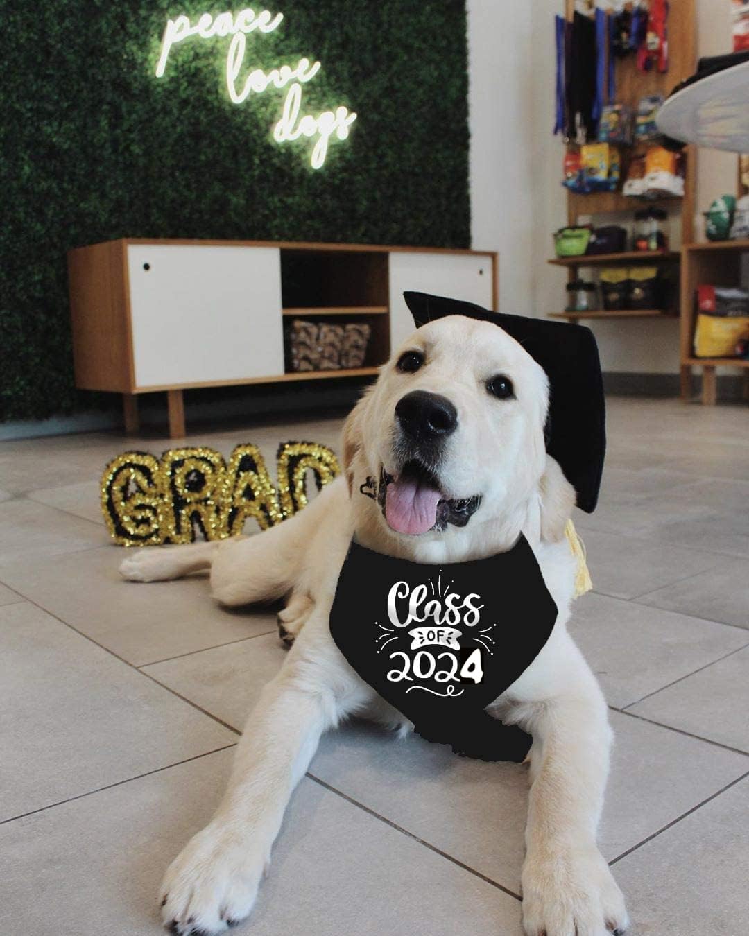 Dog Graduation Bandana For Medium Large Dogs 2025