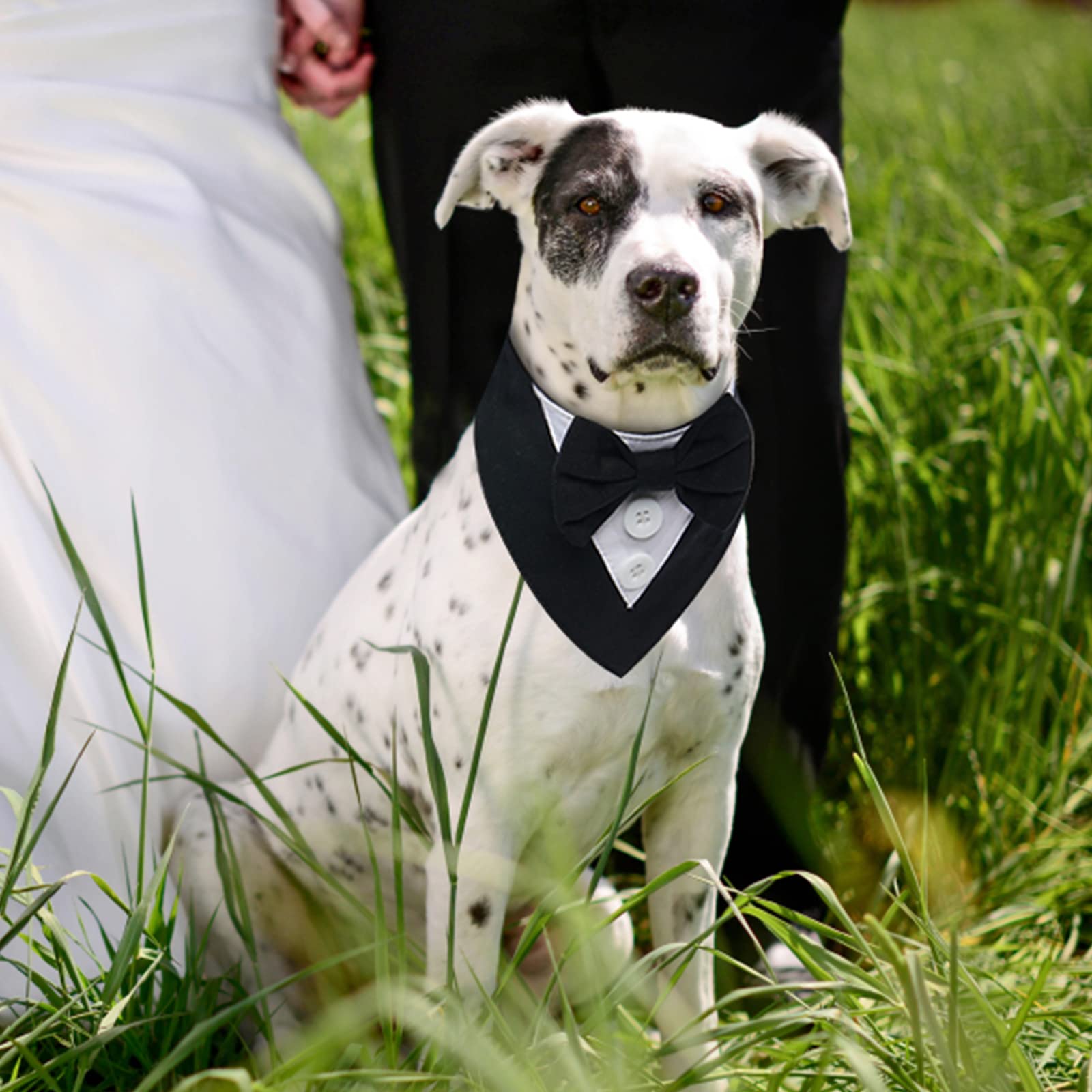 Fuamey Dog Tuxedo,Formal Dog Wedding Bandana Dog Collar With Bow Tie Dog Birthday Costume Adjustable Pet Party Tux Dog Wedding Attire,Dog Valentines Outfit Cosplay For Small Medium Large Pets Grey Xl