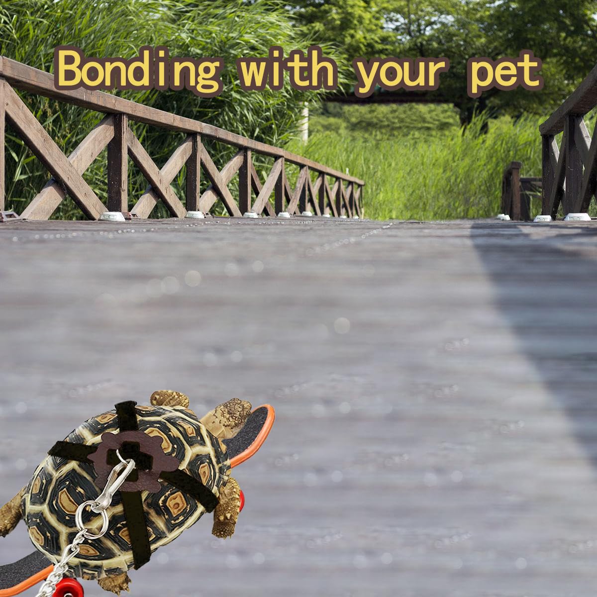 Adjustable Tortoise Leash, Skateboard Set, Treat Ball, Training Harness For Turtle, Dragon, Bearded Lizard, Small Pets - Pet Toy
