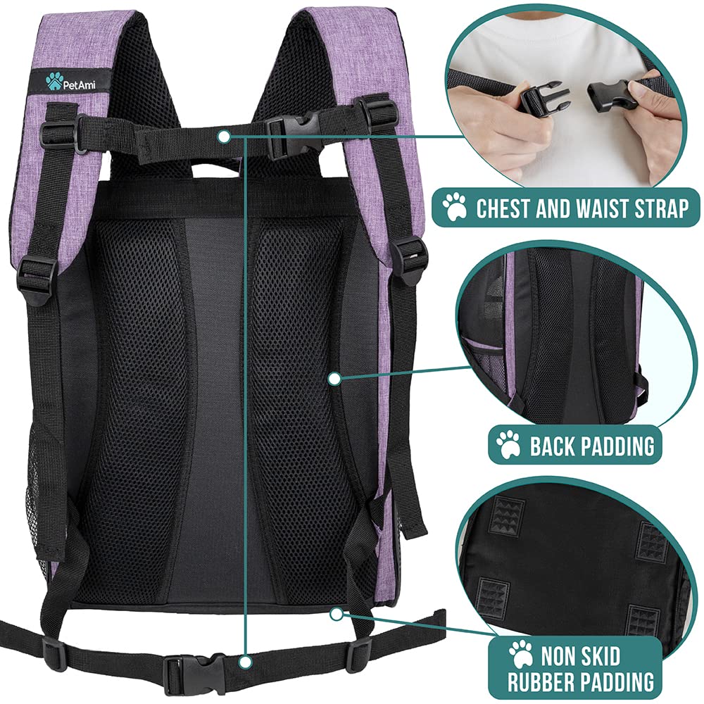 Petami Dog Backpack Carrier For Small Large Cat, Pet, Puppies, Ventilated Pet Hiking Backpack Travel Bag, Airline Approved Cat B