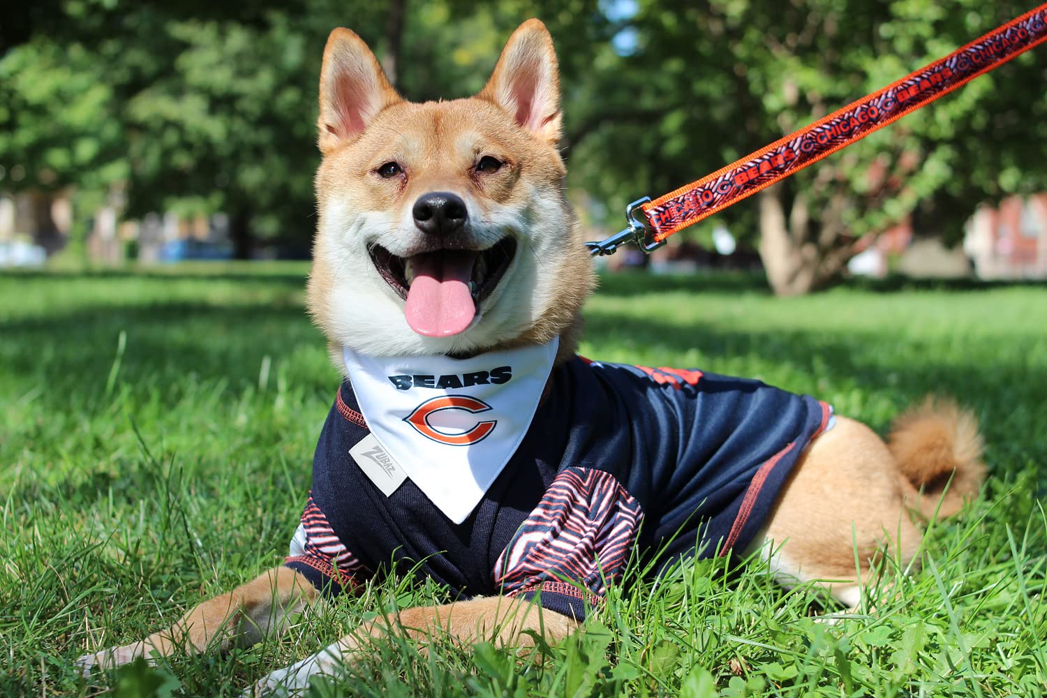 Zubaz X Pets First Nfl San Francisco 49Ers Tee Shirt For Dogs  Cats, Medium
