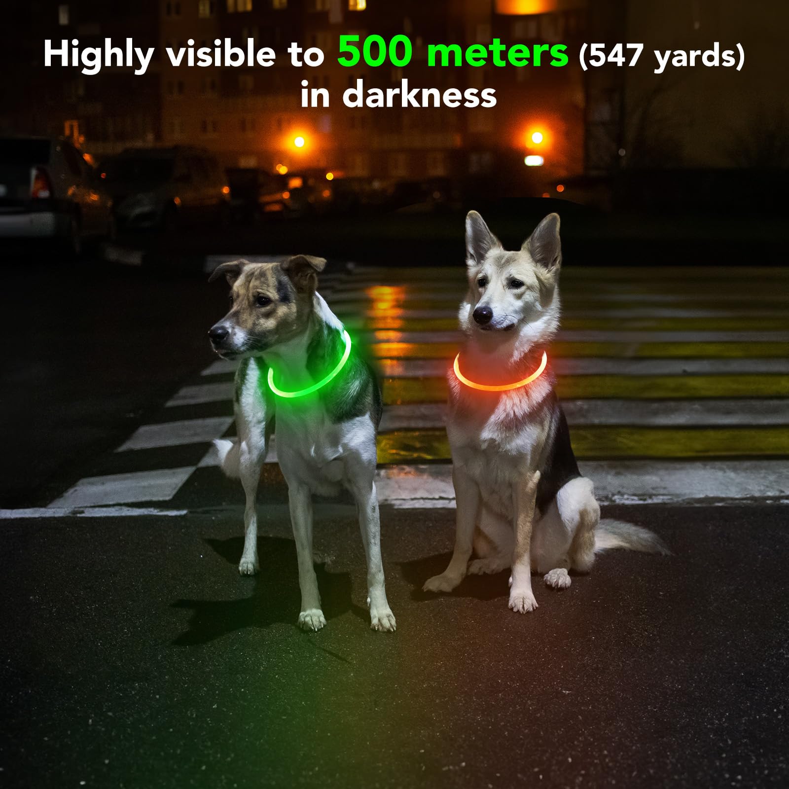 Domagiker Led Dog Collar - Waterproof Lighted Pet Collar Rechargeable For Night, Tpu Cuttable Light Up Doggie Collar For Small,
