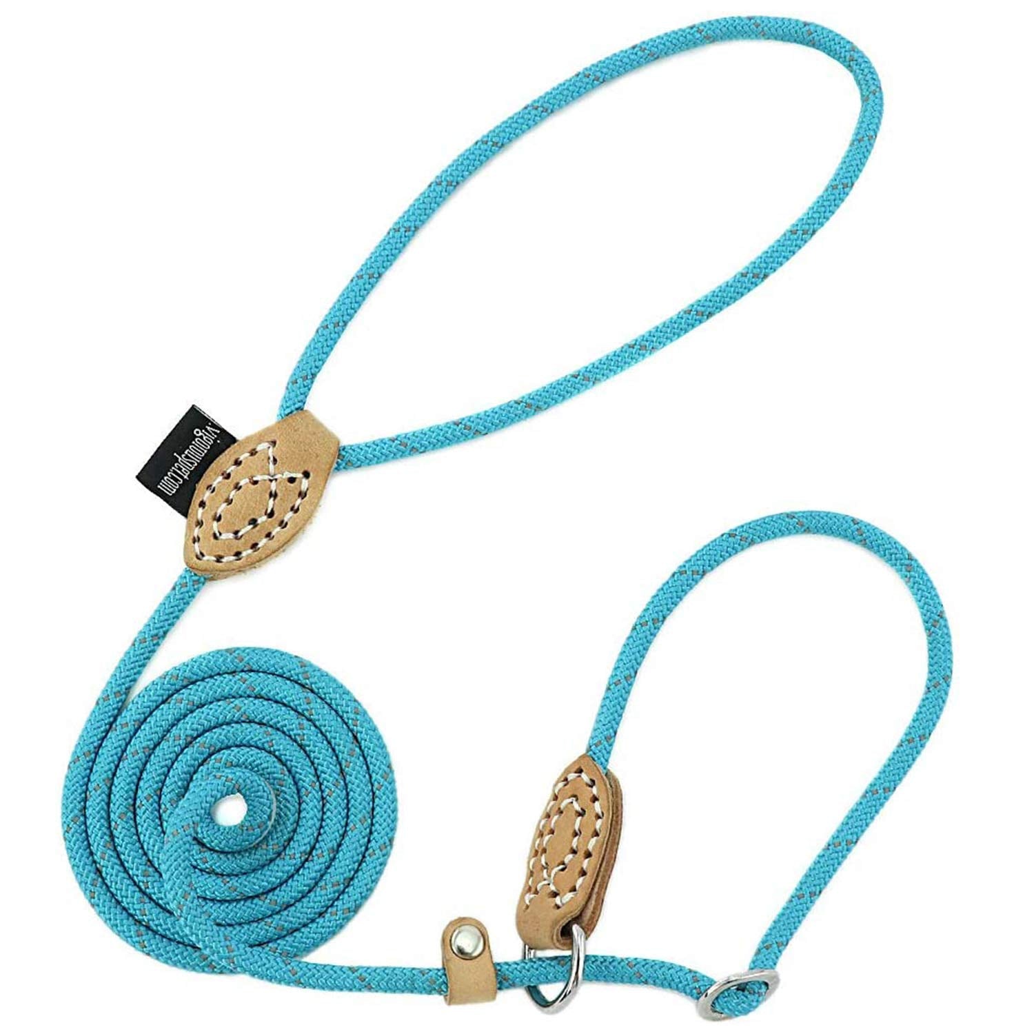 Grand Line Slip Lead Dog Leash, 5Ft Reflective Slip Rope, Puppy Training Walking Controlling Lead, Slip Collar Pet Leash For Small, Medium, Large Dogs (Blue, Small-1/4In X 5Ft)
