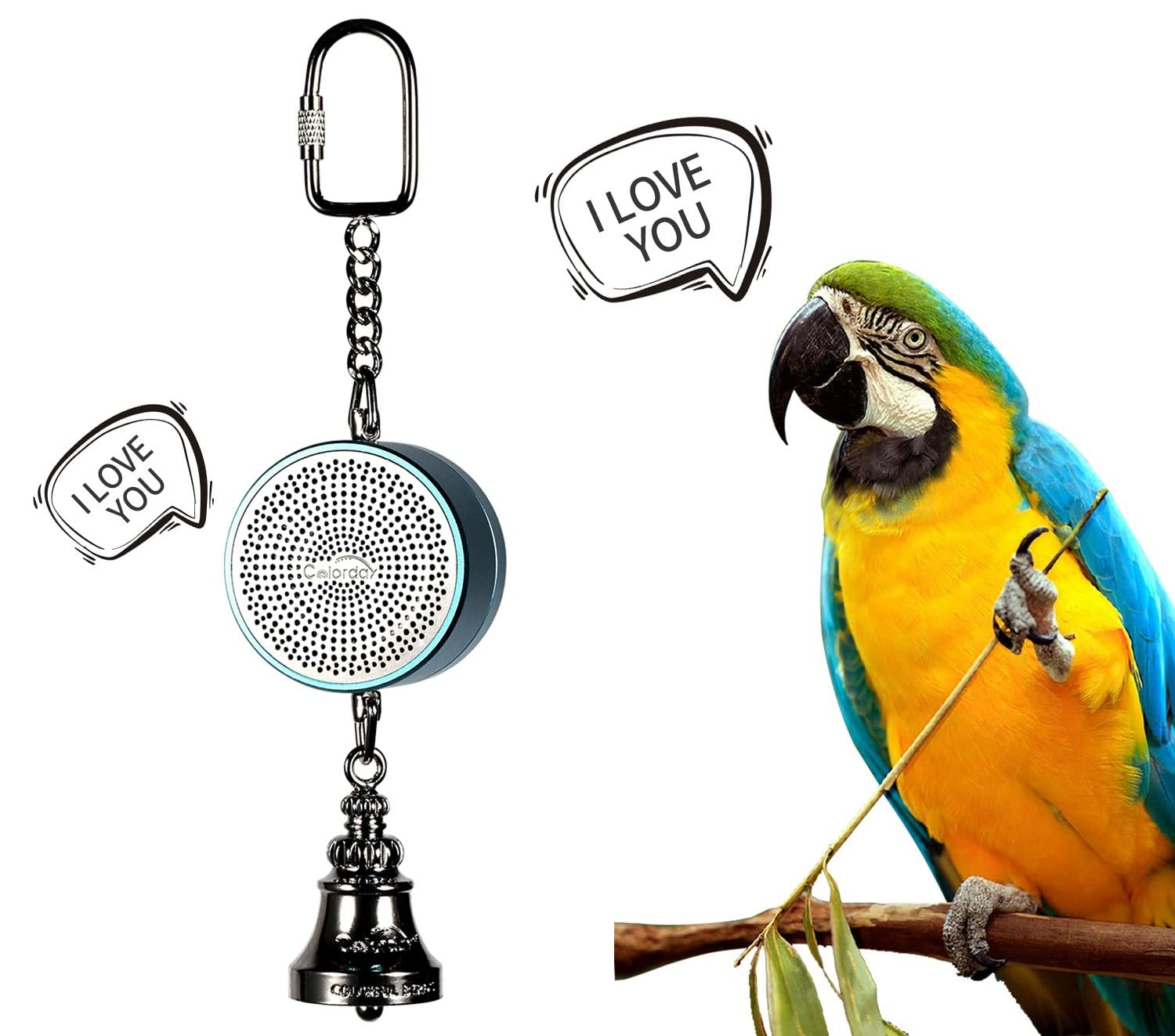 Colorday Bird Toys Parrot Talking Coach & Interactive Voice Bell For Parakeet, African Grey, Amazon Parrots, Quaker, Cockatiel, Conure (Blue)